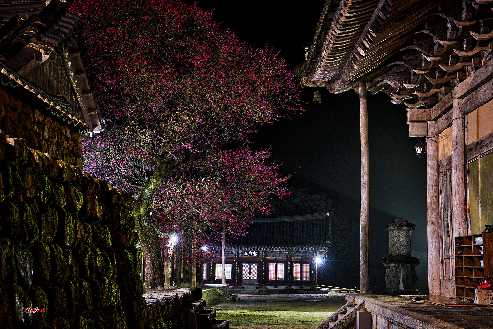 Nikon AF-S Nikkor 24-70mm F2.8E ED VR sample photo. 화엄사, 흑매 photography