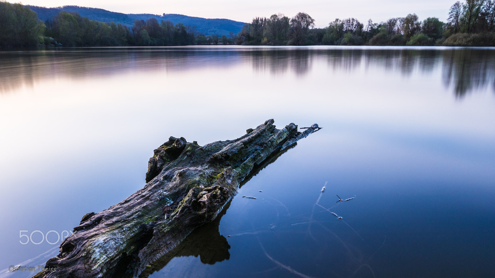 Canon EOS 80D + Sigma 10-20mm F4-5.6 EX DC HSM sample photo. Dead wood photography