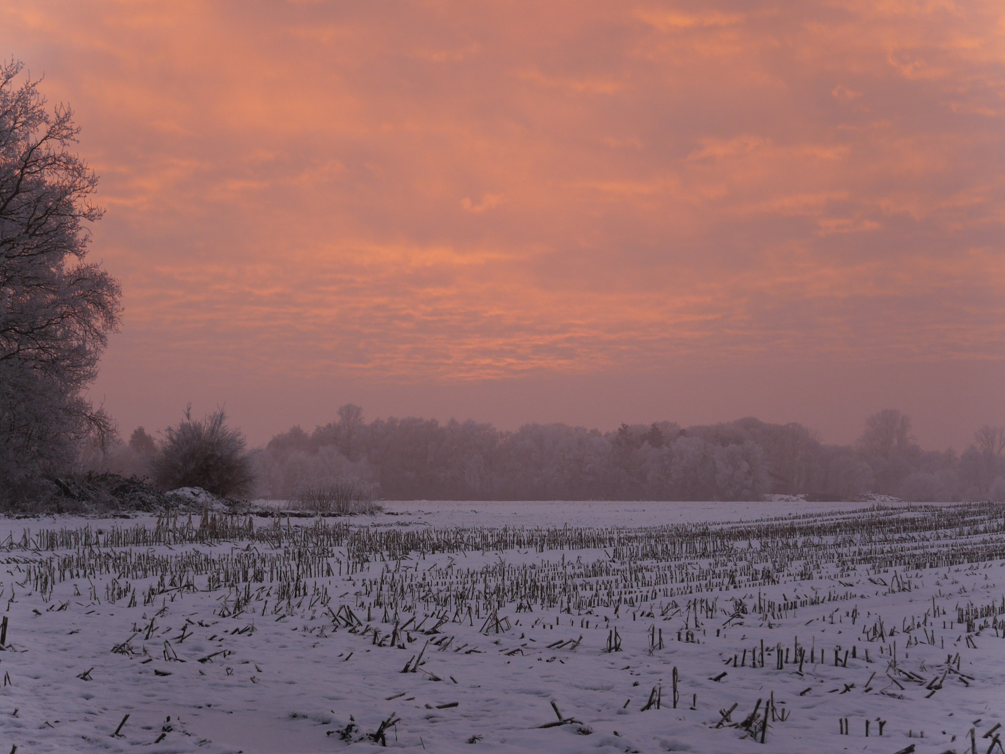 Panasonic Lumix DMC-G6 sample photo. Winter in wilsum duitsland 2017 photography