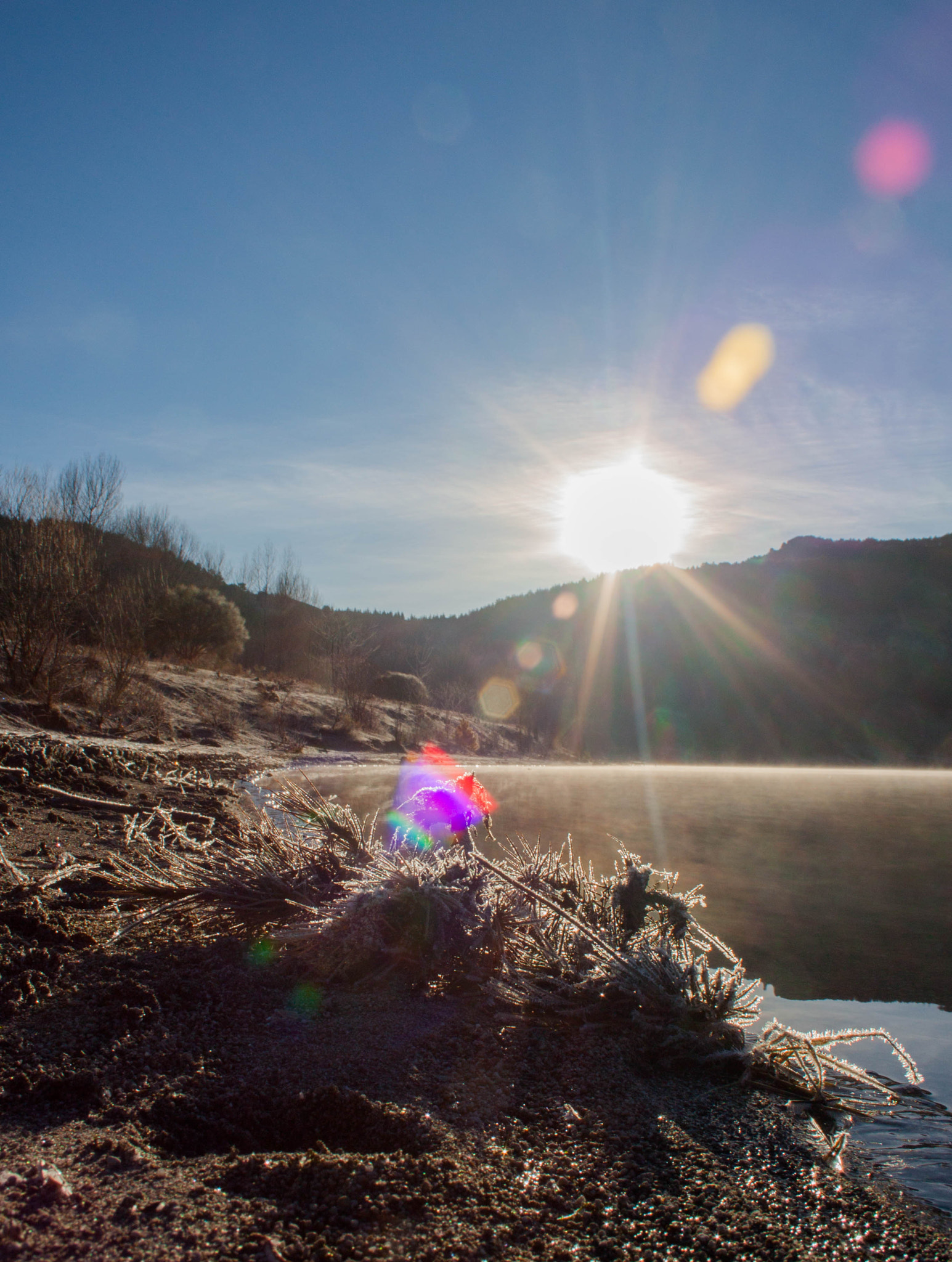 Canon EF-S 18-55mm F3.5-5.6 II sample photo. Sunshine photography