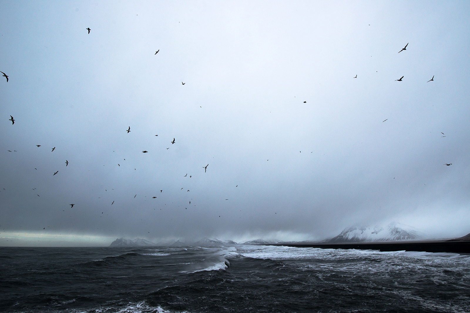 Tamron SP 15-30mm F2.8 Di VC USD sample photo. After the storm photography