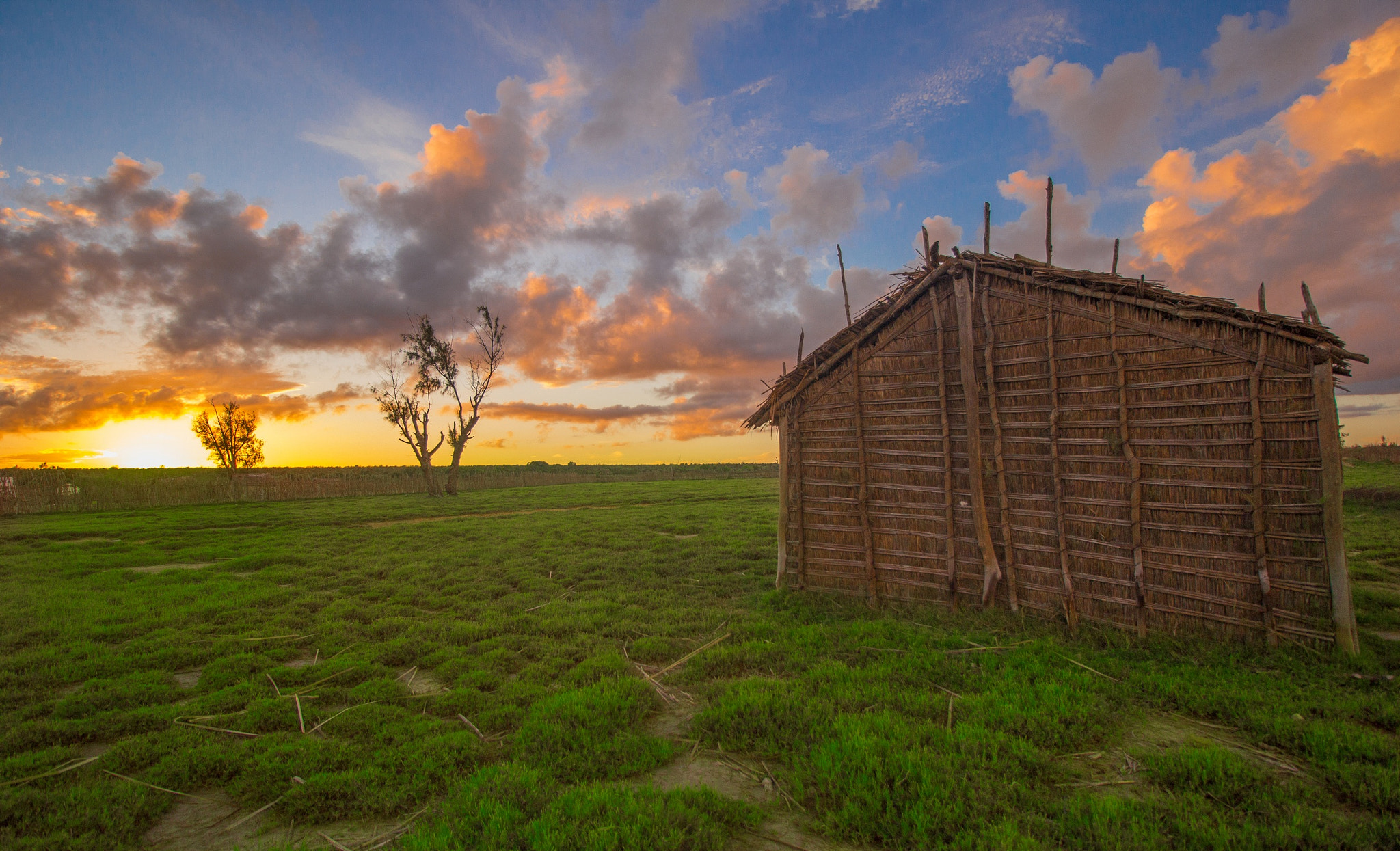 Canon EOS 60D sample photo. Southern house of madagascar photography