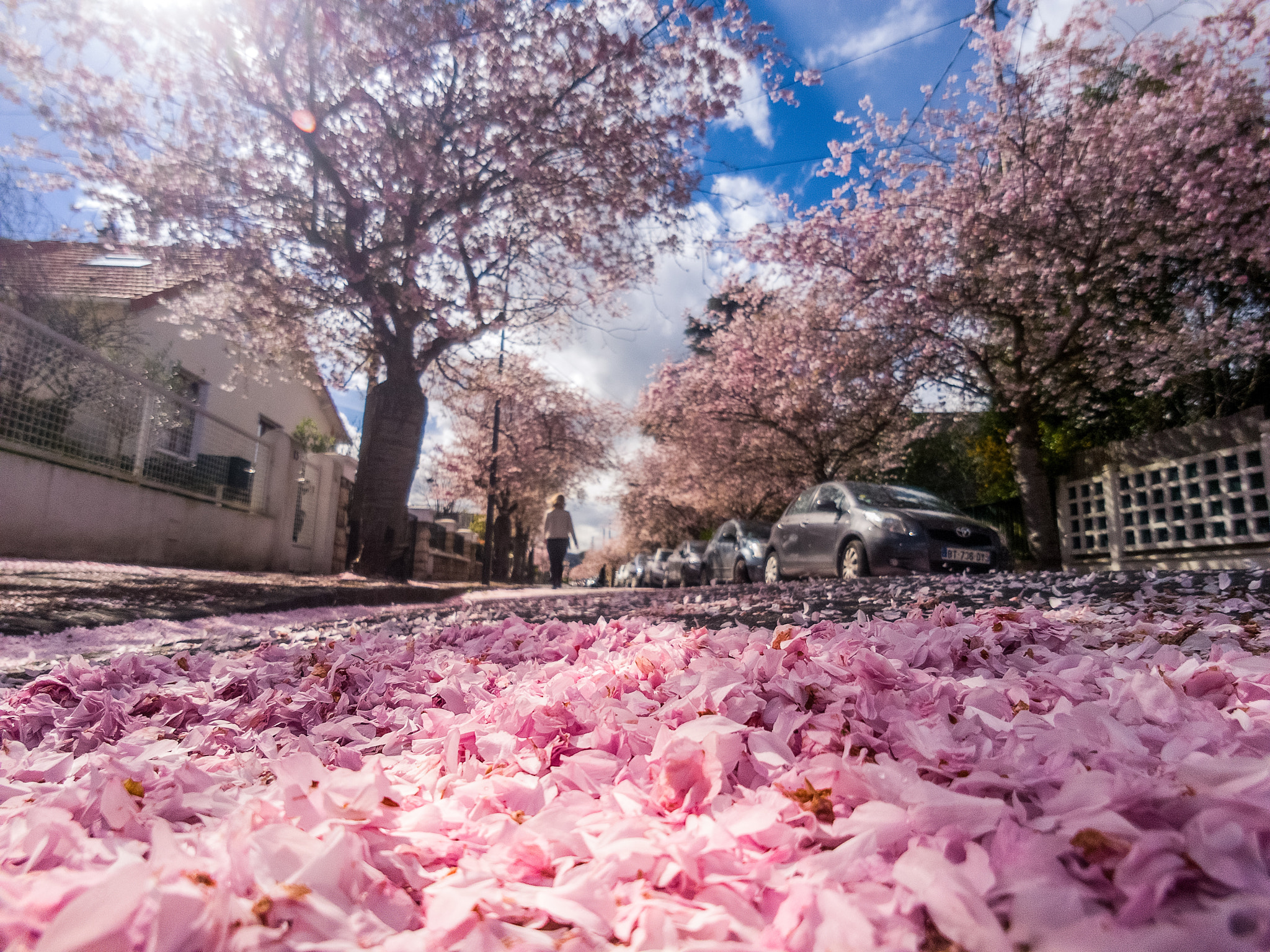 Samsung Galaxy S7 + Samsung Galaxy S7 Rear Camera sample photo. Spring time in rueil-malmaison, paris west suburb photography