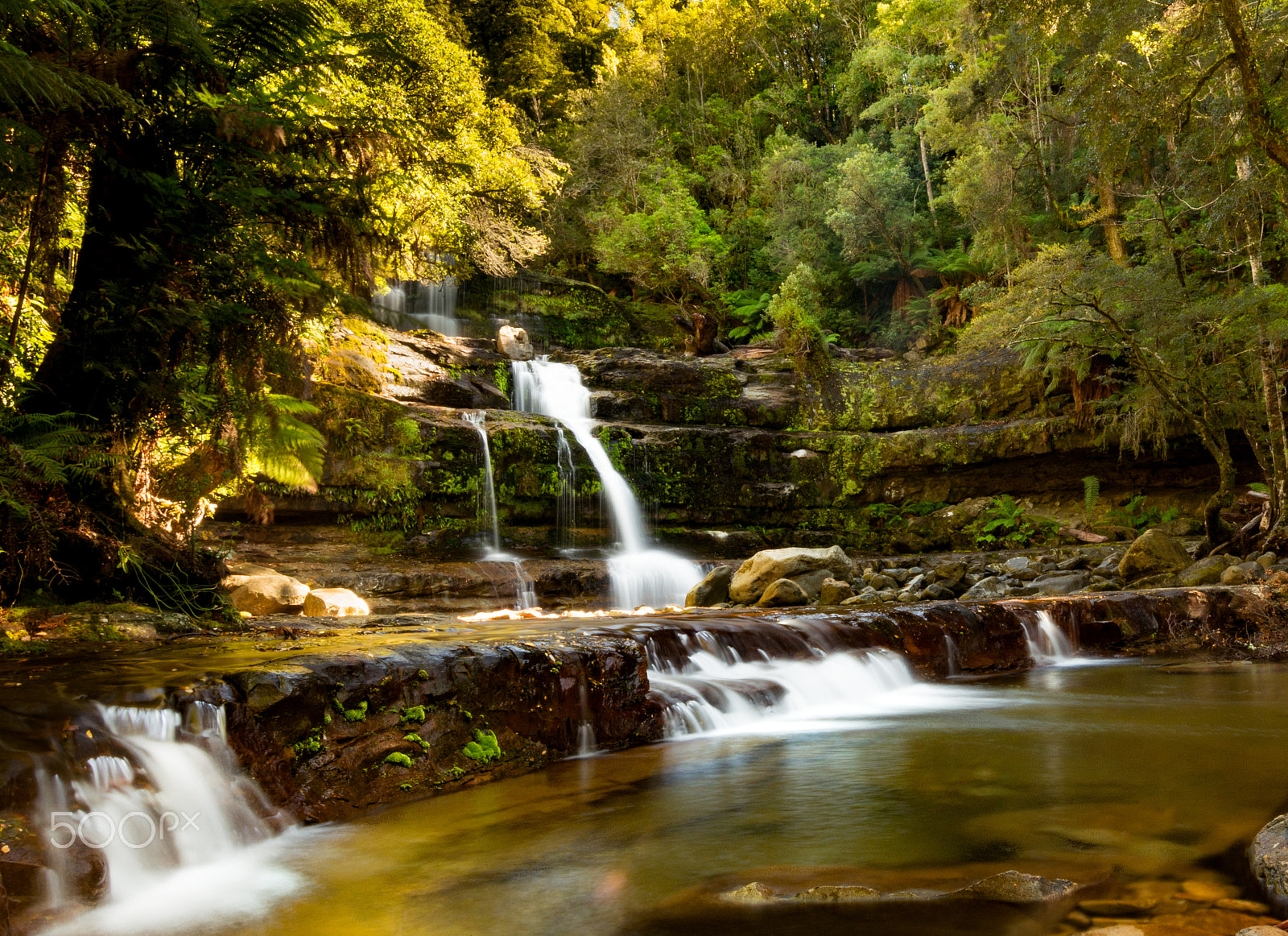 Nikon D7200 sample photo. Liffey falls photography