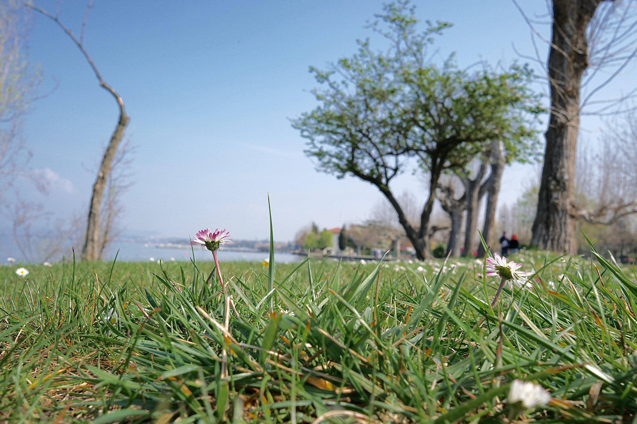 Sony a6300 + Sigma 19mm F2.8 EX DN sample photo. Position photography