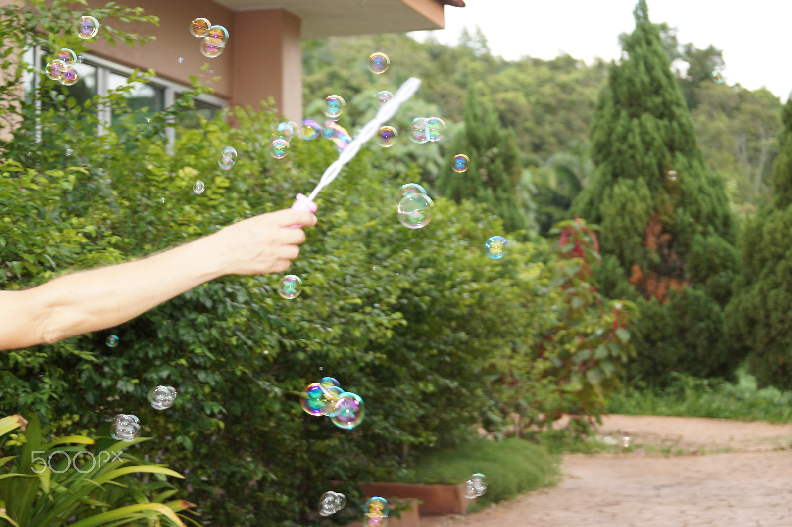 Sony DT 55-300mm F4.5-5.6 SAM sample photo. Bubbles photography