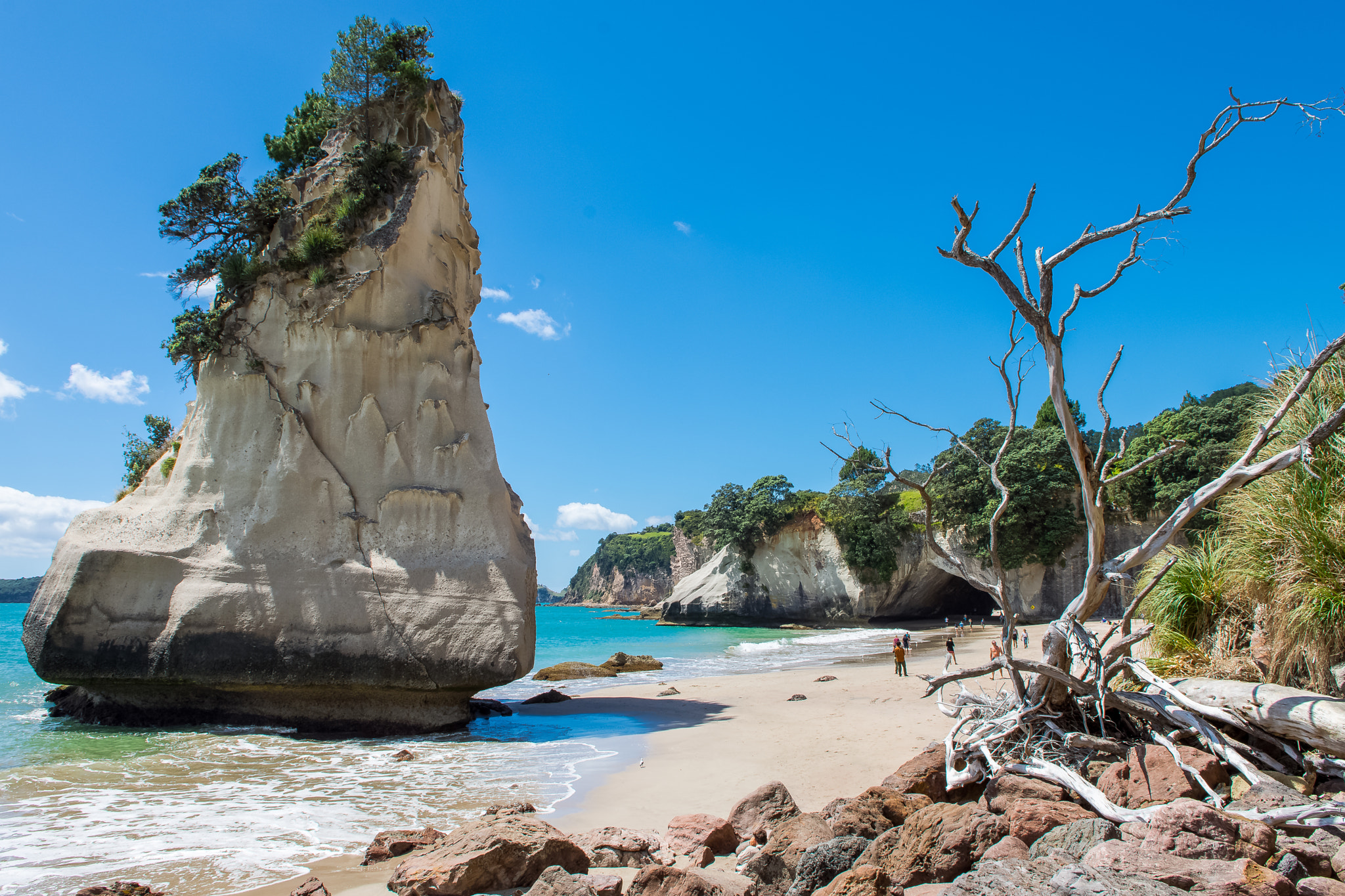 Nikon D7200 sample photo. Cathedral cove photography