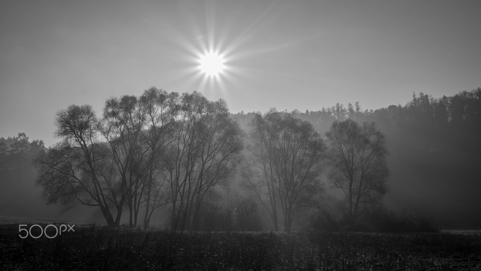 Nikon D5200 + Sigma 17-70mm F2.8-4 DC Macro OS HSM | C sample photo. Moody morning photography