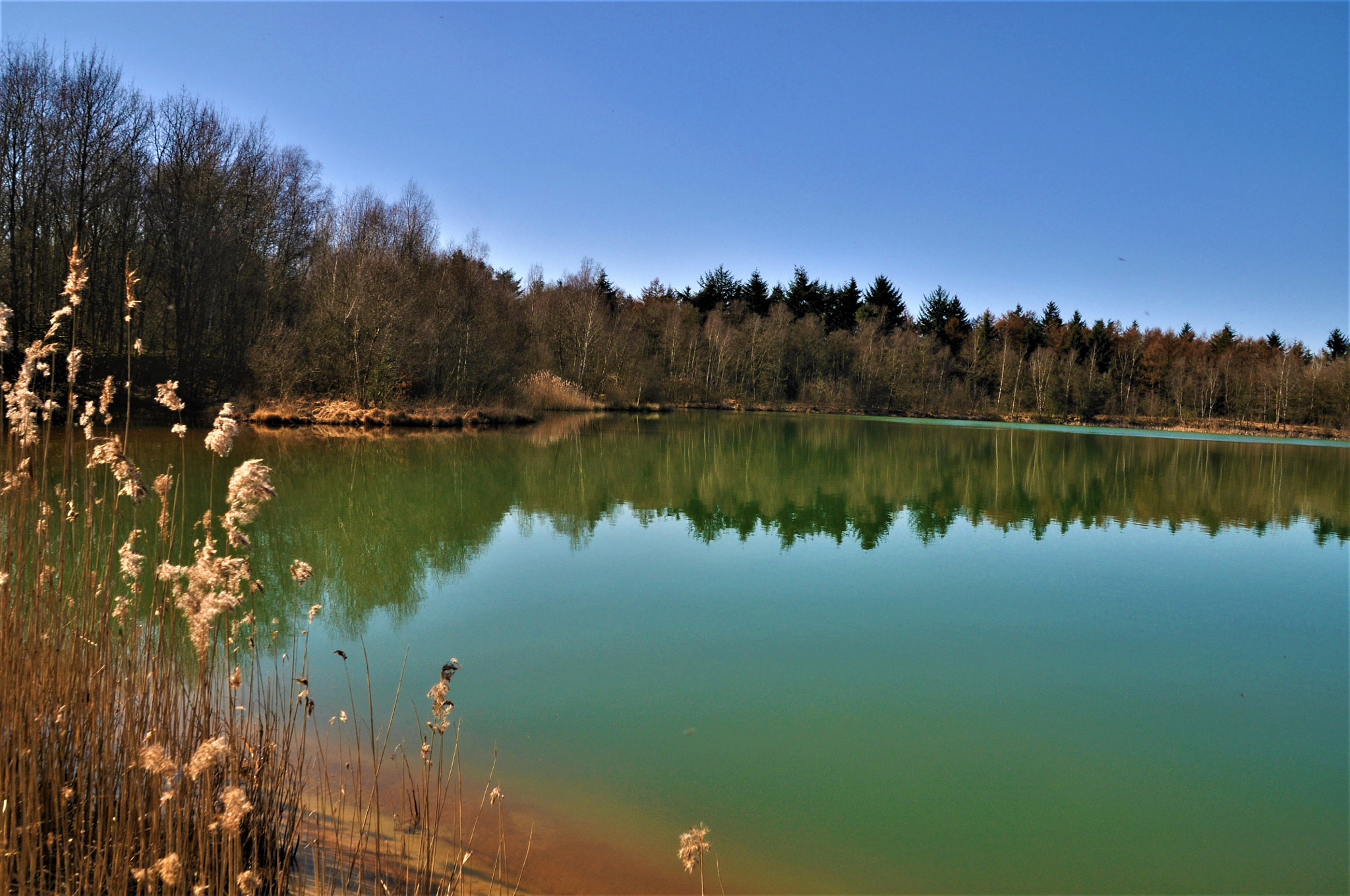 Nikon D90 sample photo. Natuur gebied sellingerbeetse photography