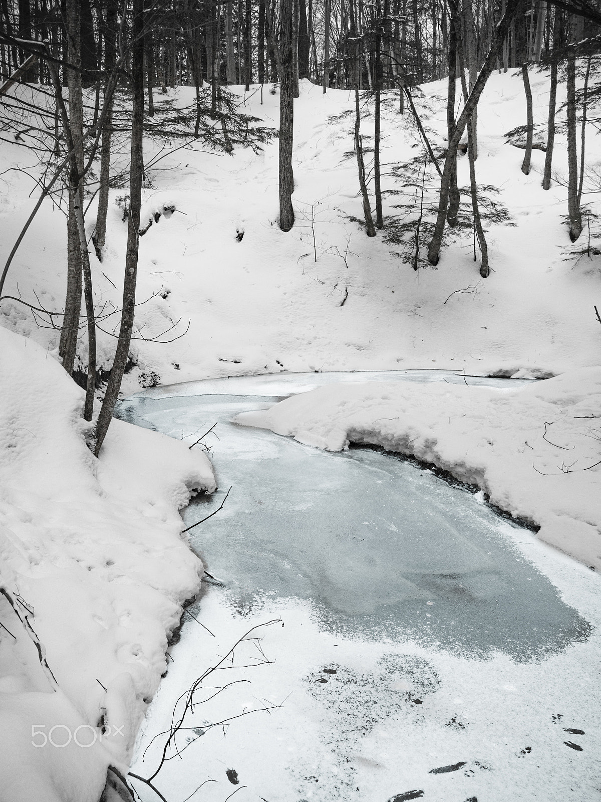 Olympus PEN E-PL5 sample photo. Winter in the woods photography
