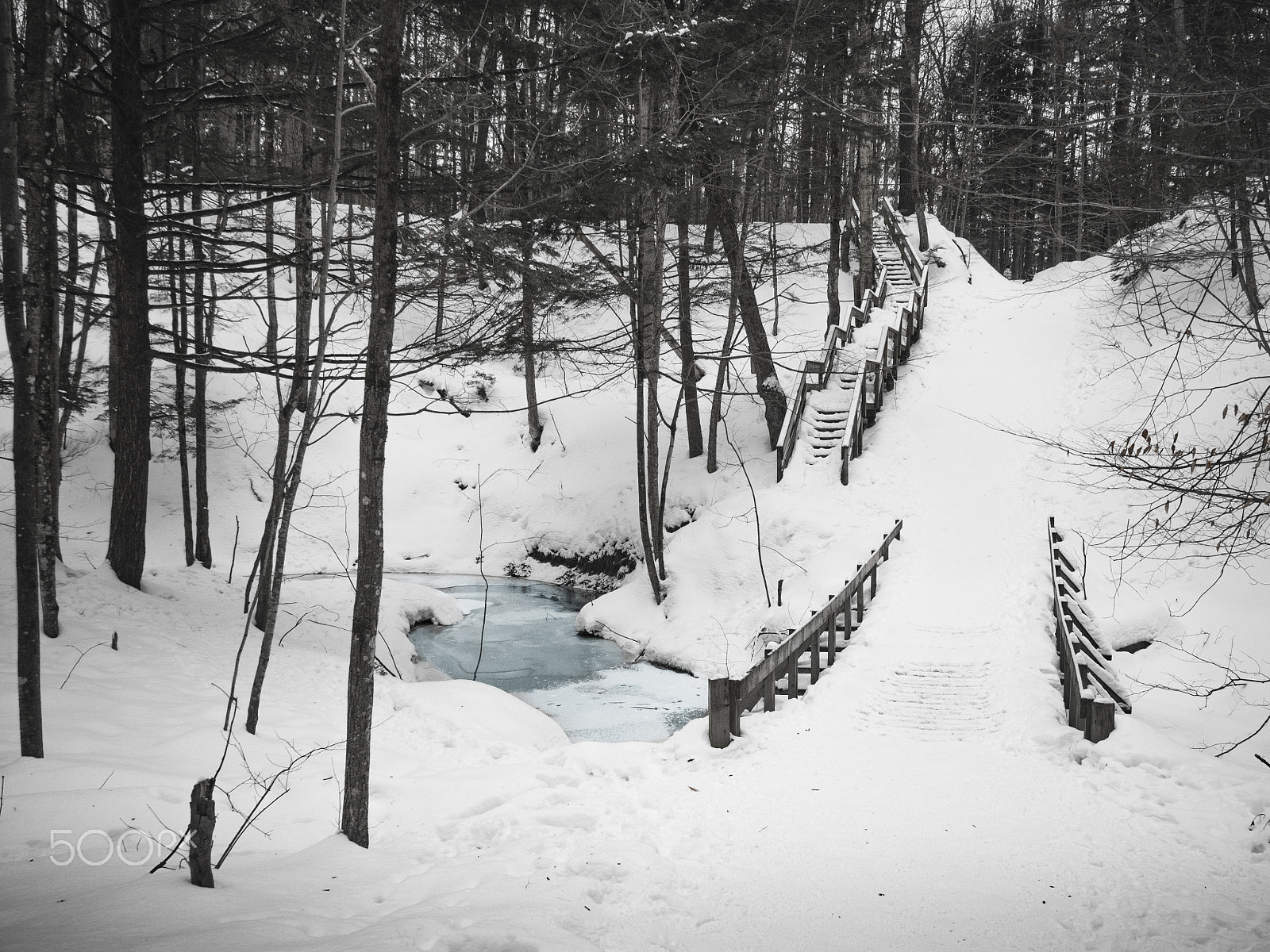 Olympus PEN E-PL5 sample photo. Winter in the woods photography