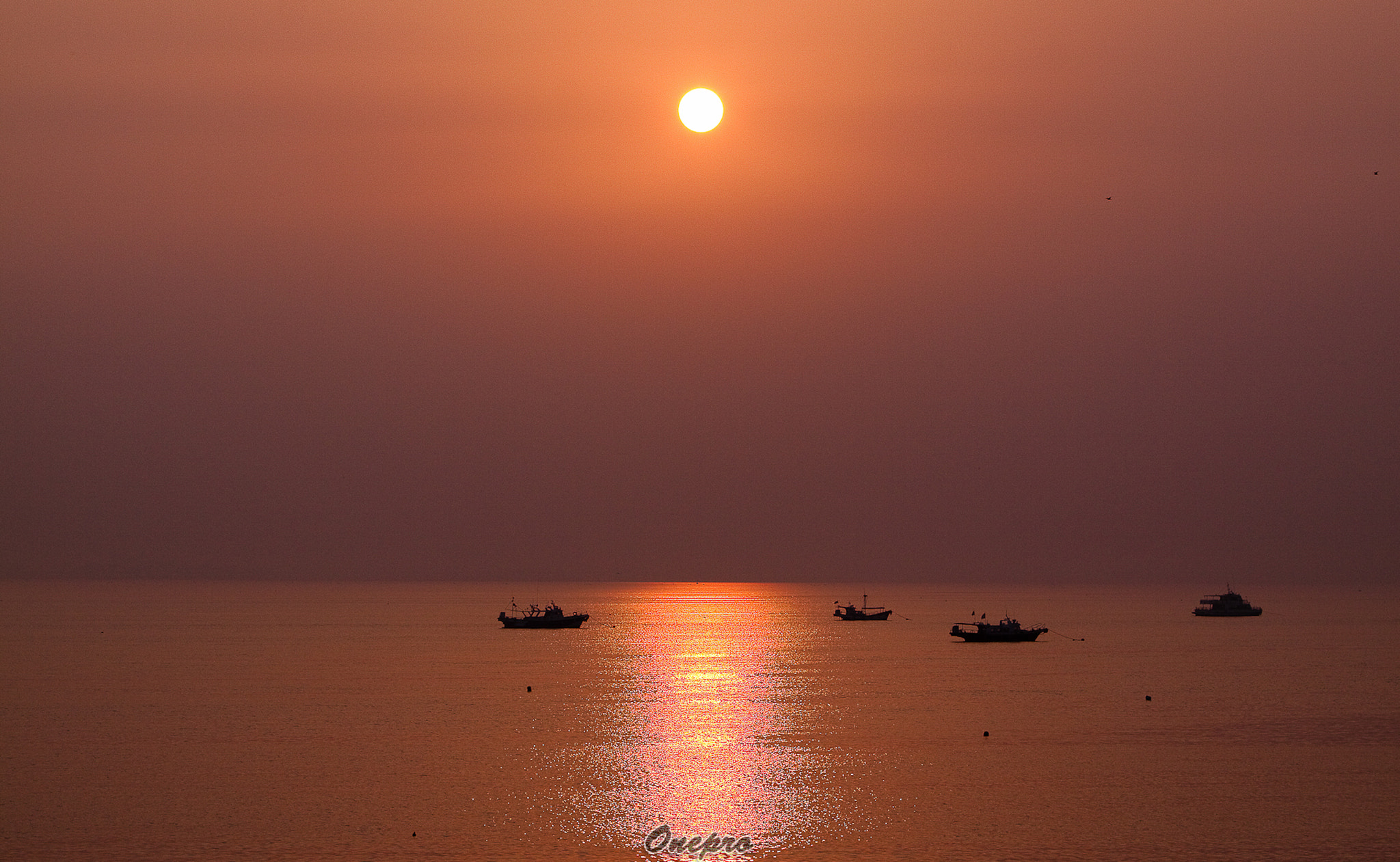 Canon EOS 50D + Canon EF 70-200mm F2.8L IS USM sample photo. Onepro - 붉은 바다 ( red sea) photography