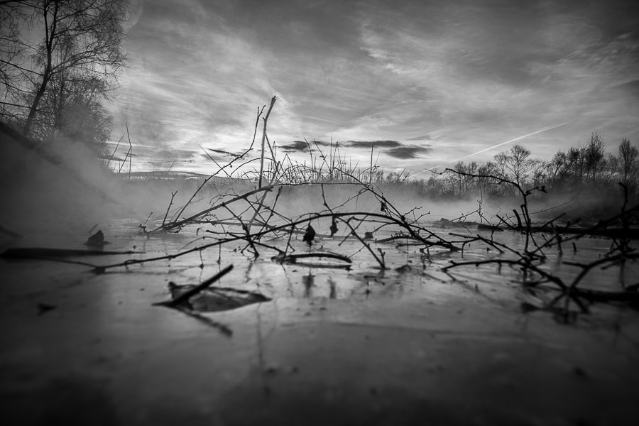 Canon EOS 70D + Sigma 10-20mm F4-5.6 EX DC HSM sample photo. Dark nature photography