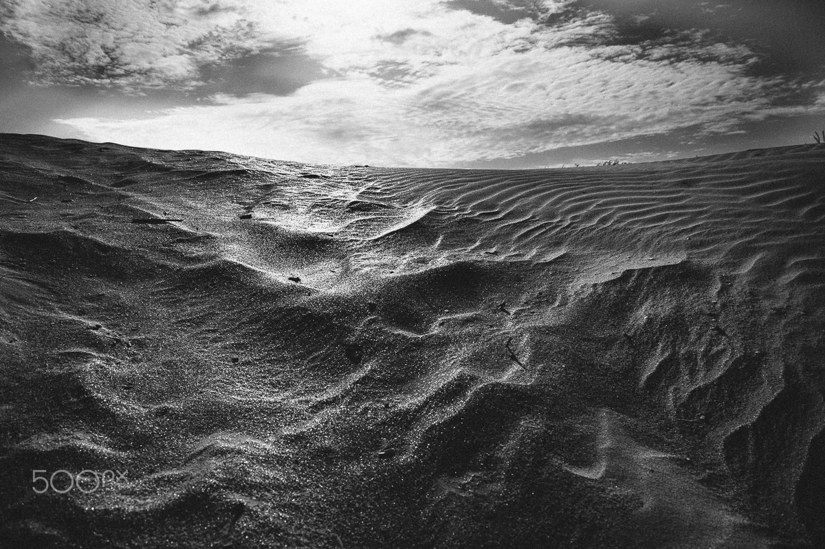 Nikon Df sample photo. Memories of the sea photography