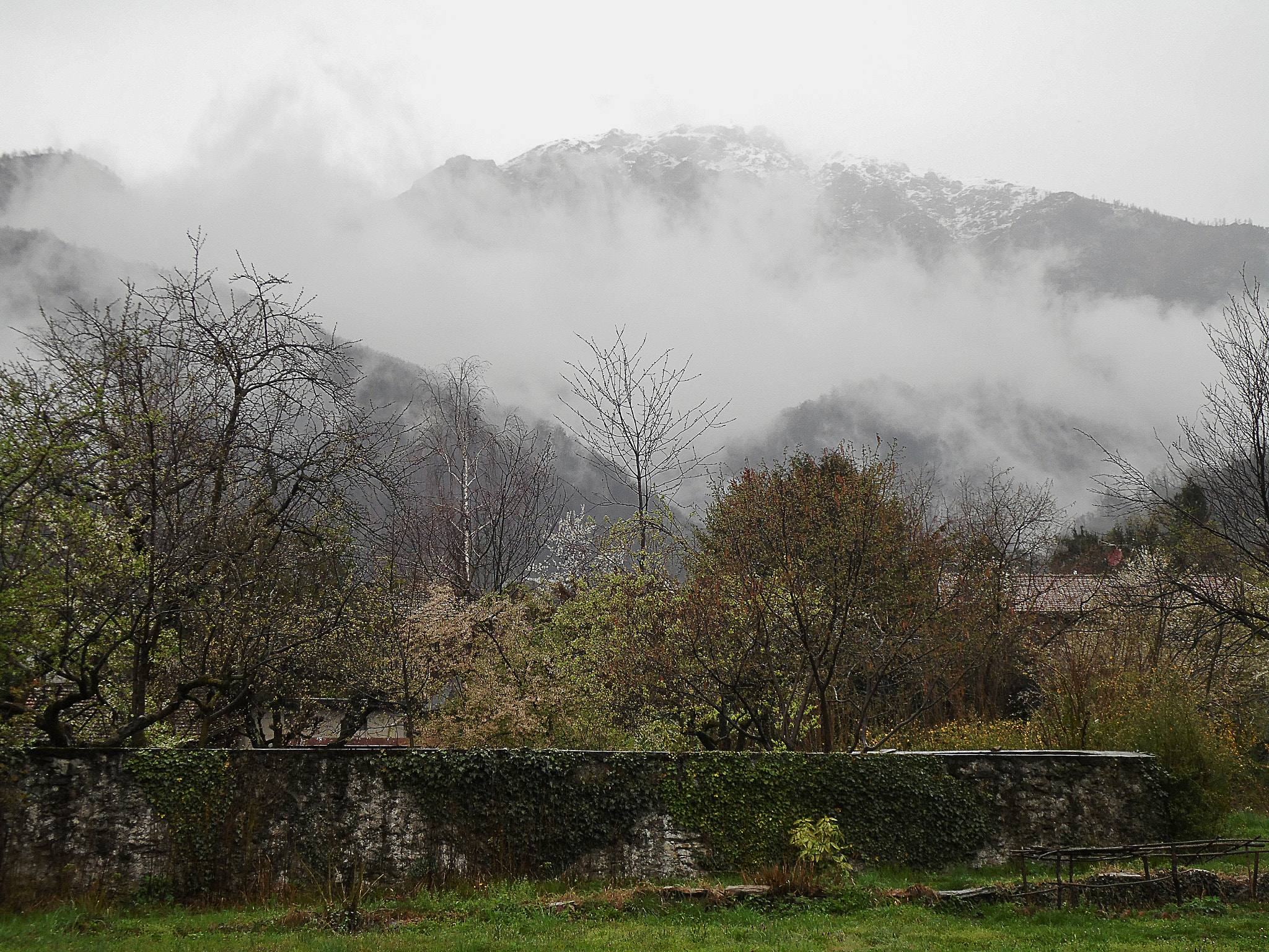 Samsung WB110/  WB111 sample photo. Snow and mist in spring photography