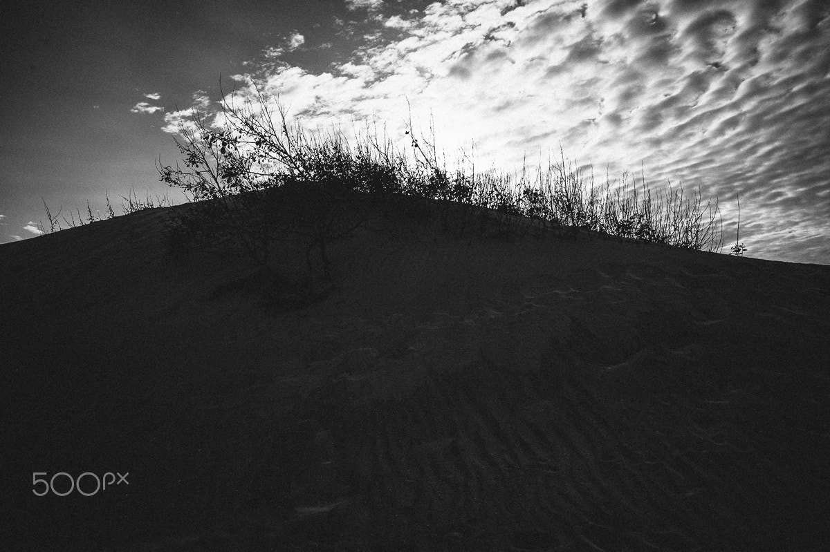 Nikon Df sample photo. Memories of the sea photography