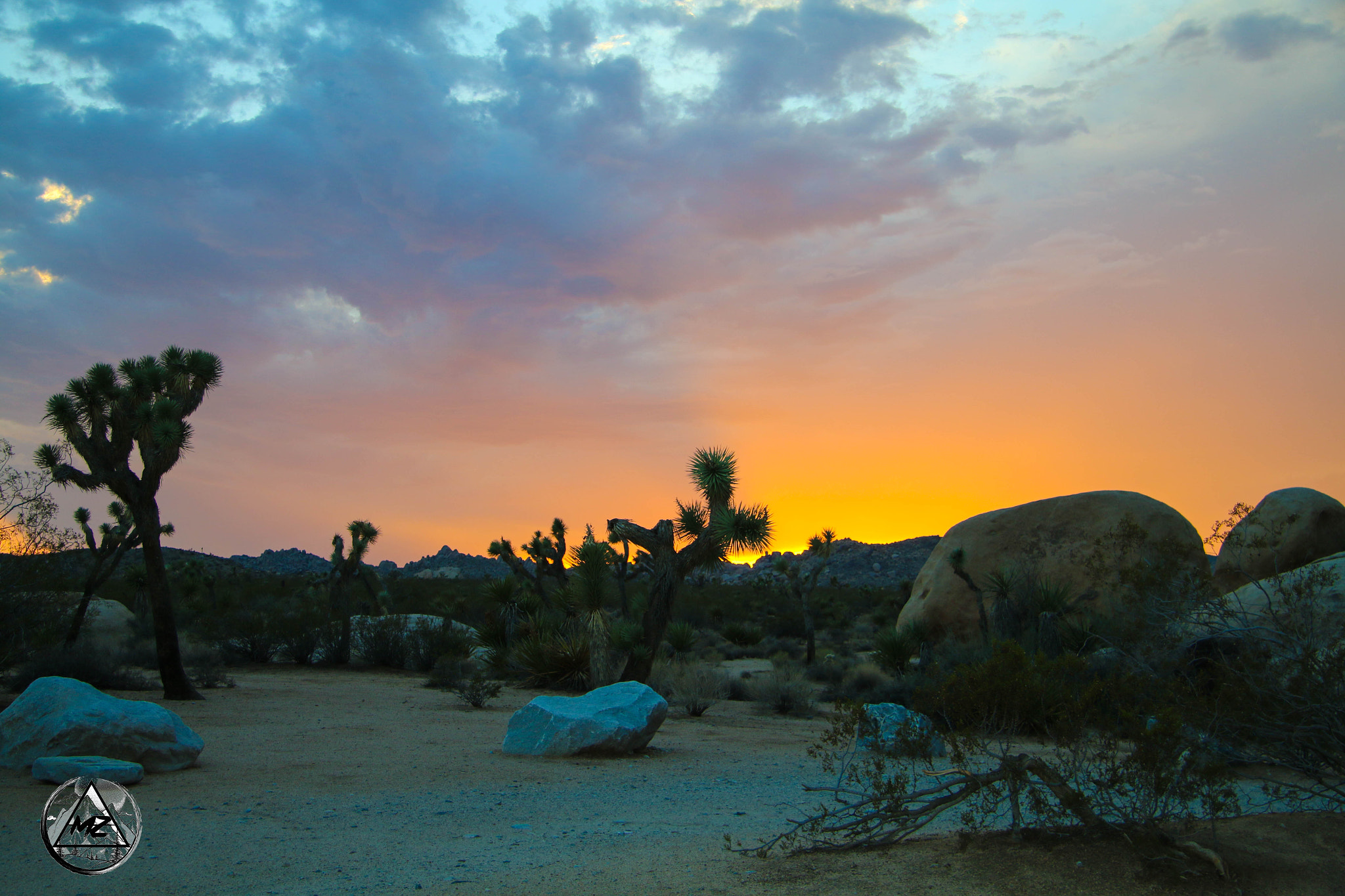 Canon EF-S 17-85mm F4-5.6 IS USM sample photo. Joshua tree - sunset photography