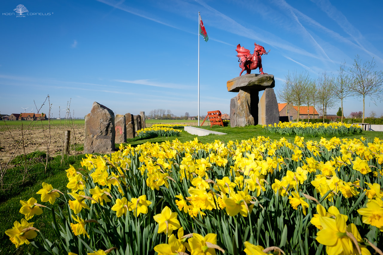 Fujifilm X-T1 sample photo. Welsh national memorial ww1 (b) photography