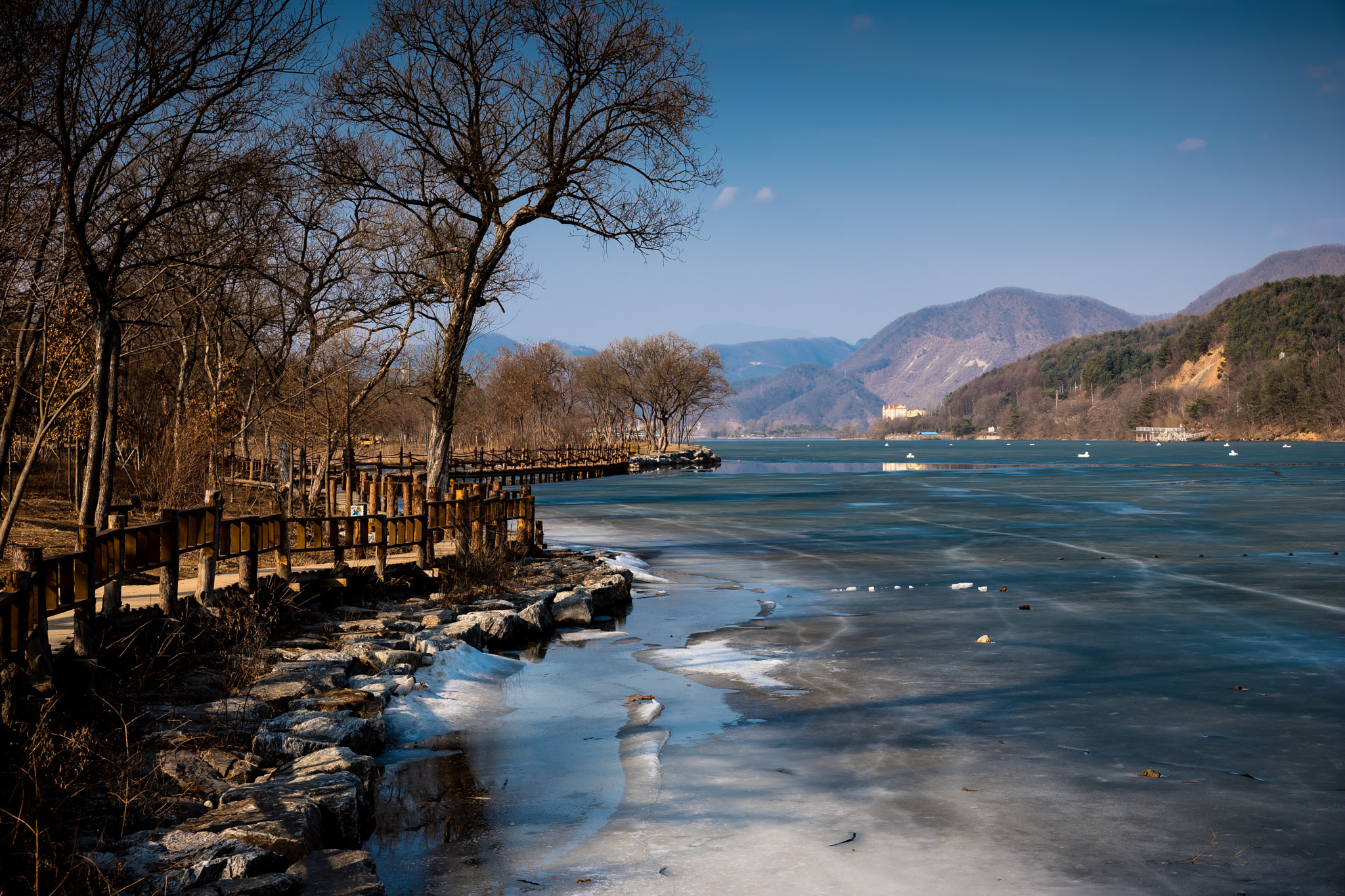 VARIO-ELMARIT 1:2.8-4.0/24-90mm ASPH. OIS sample photo. Walking along the thin iced riverside photography