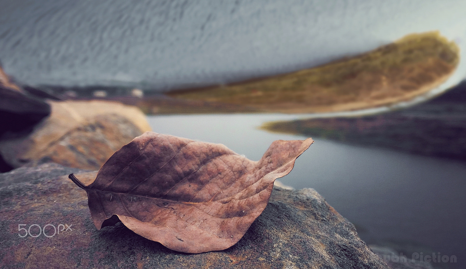 Samsung Galaxy E7 sample photo. Leaf n river. photography