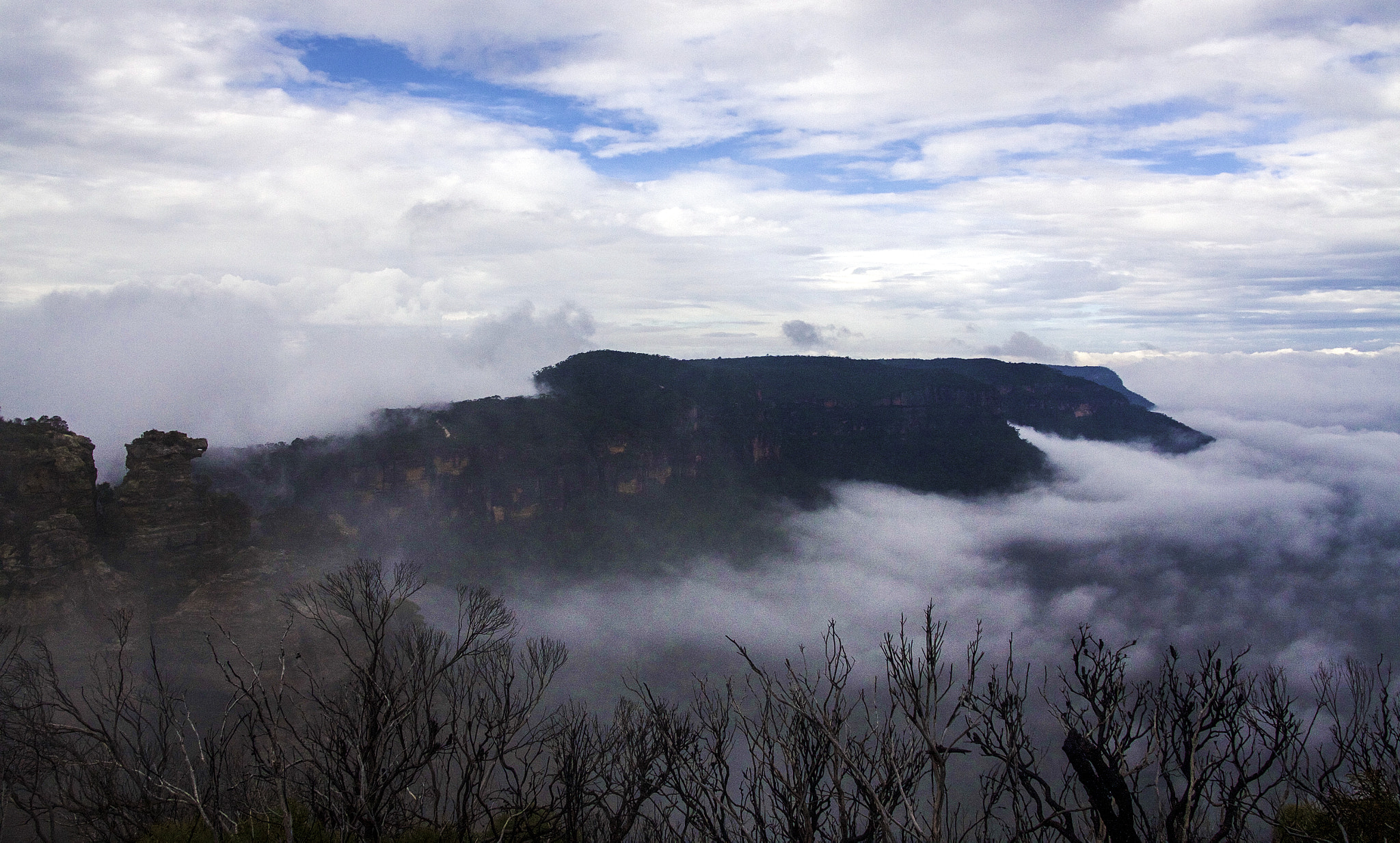 Canon EOS 40D sample photo. Boar's head and narrow neck, nsw, australia photography