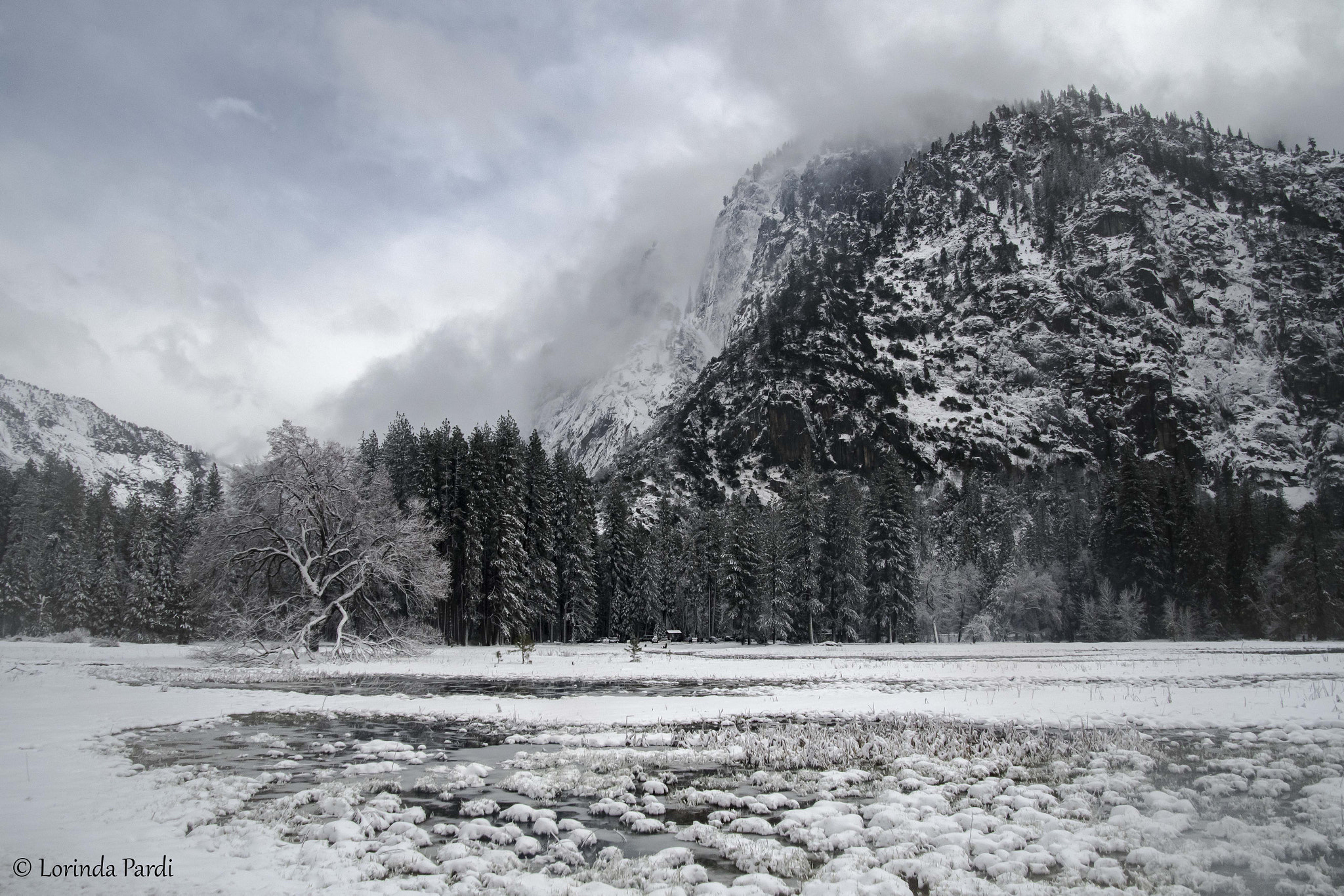 Nikon D500 sample photo. Cooks meadow lp photography