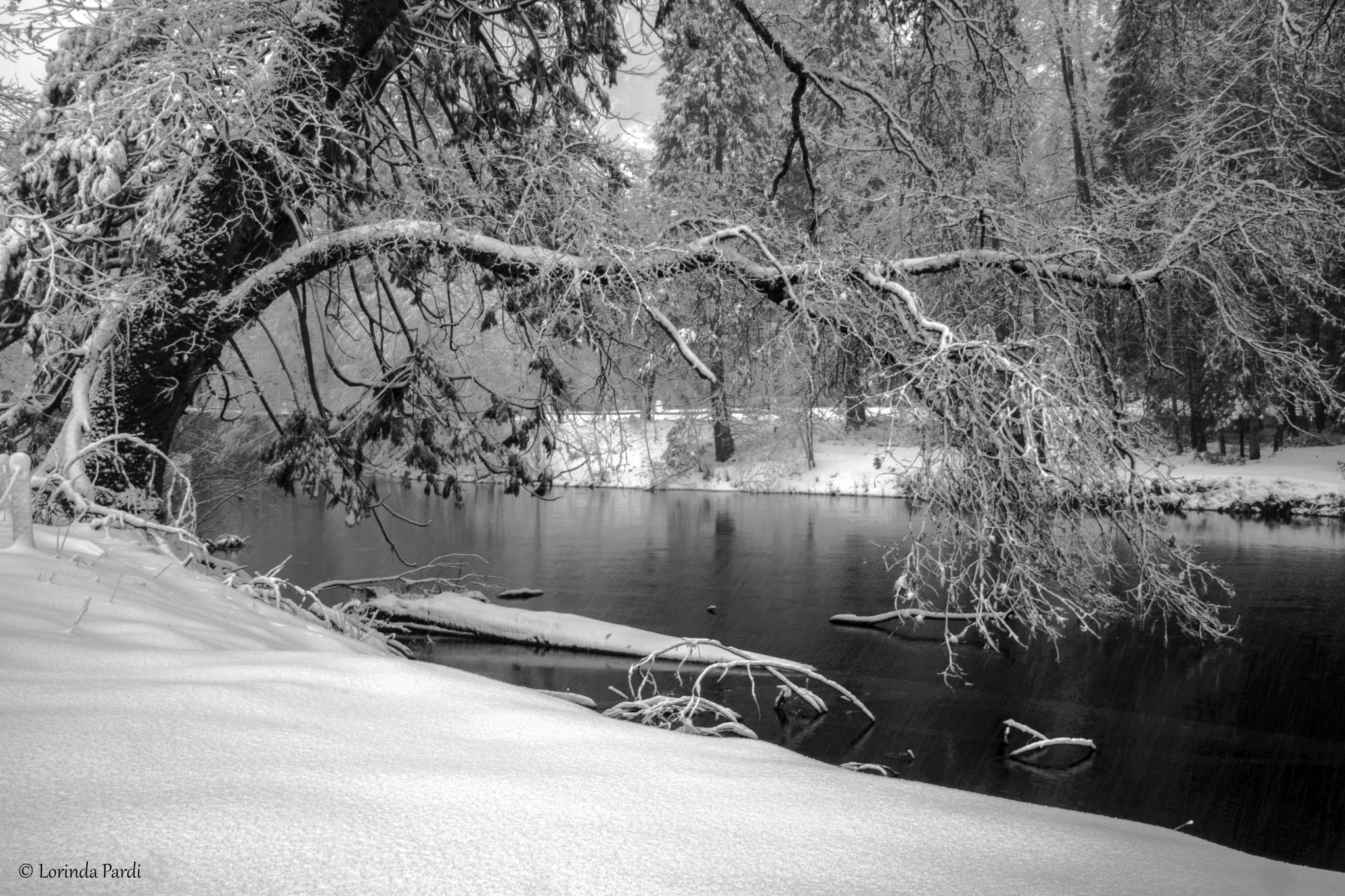 Nikon D500 sample photo. Curves bw lp photography
