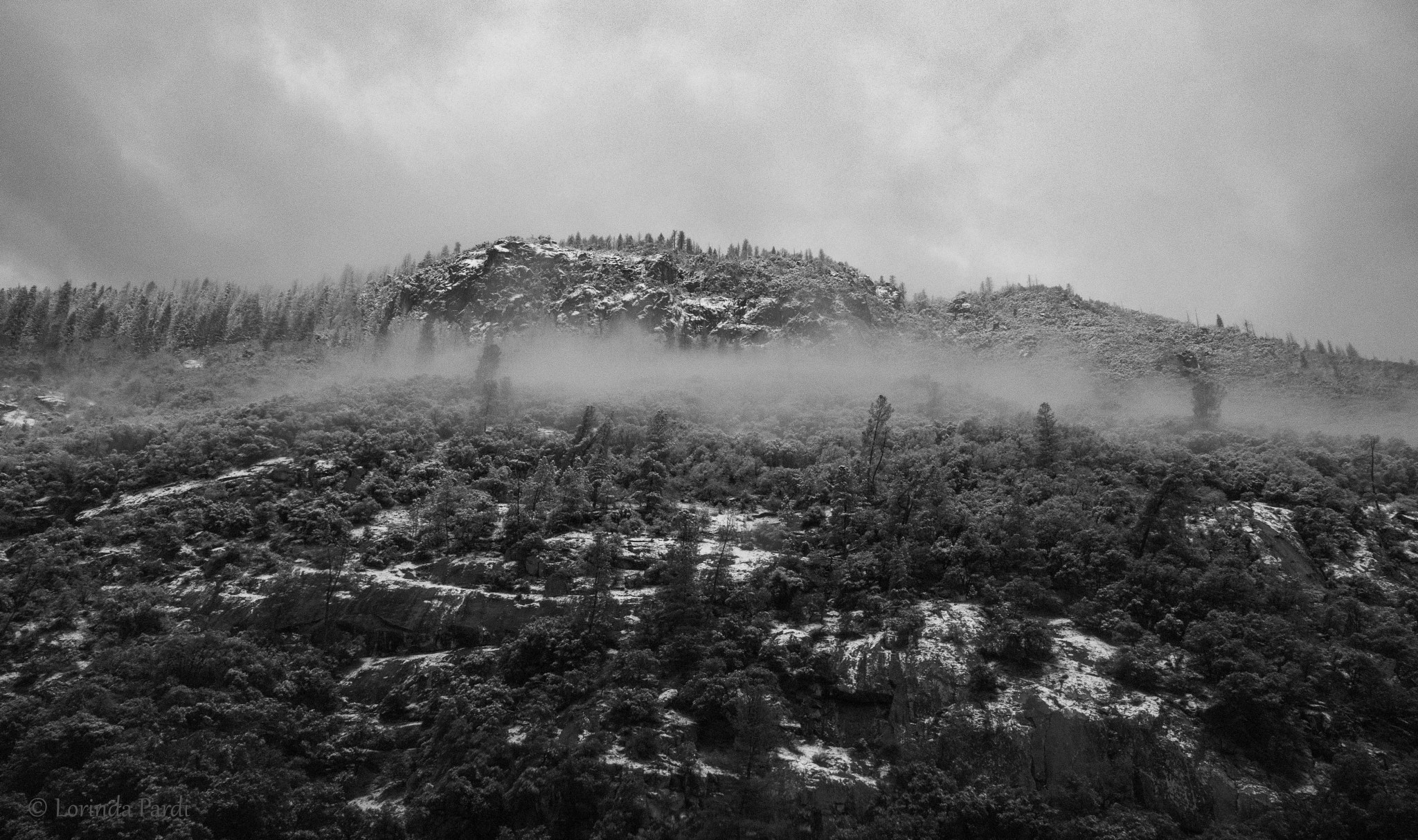 Nikon D500 sample photo. Ghostly trees lp photography