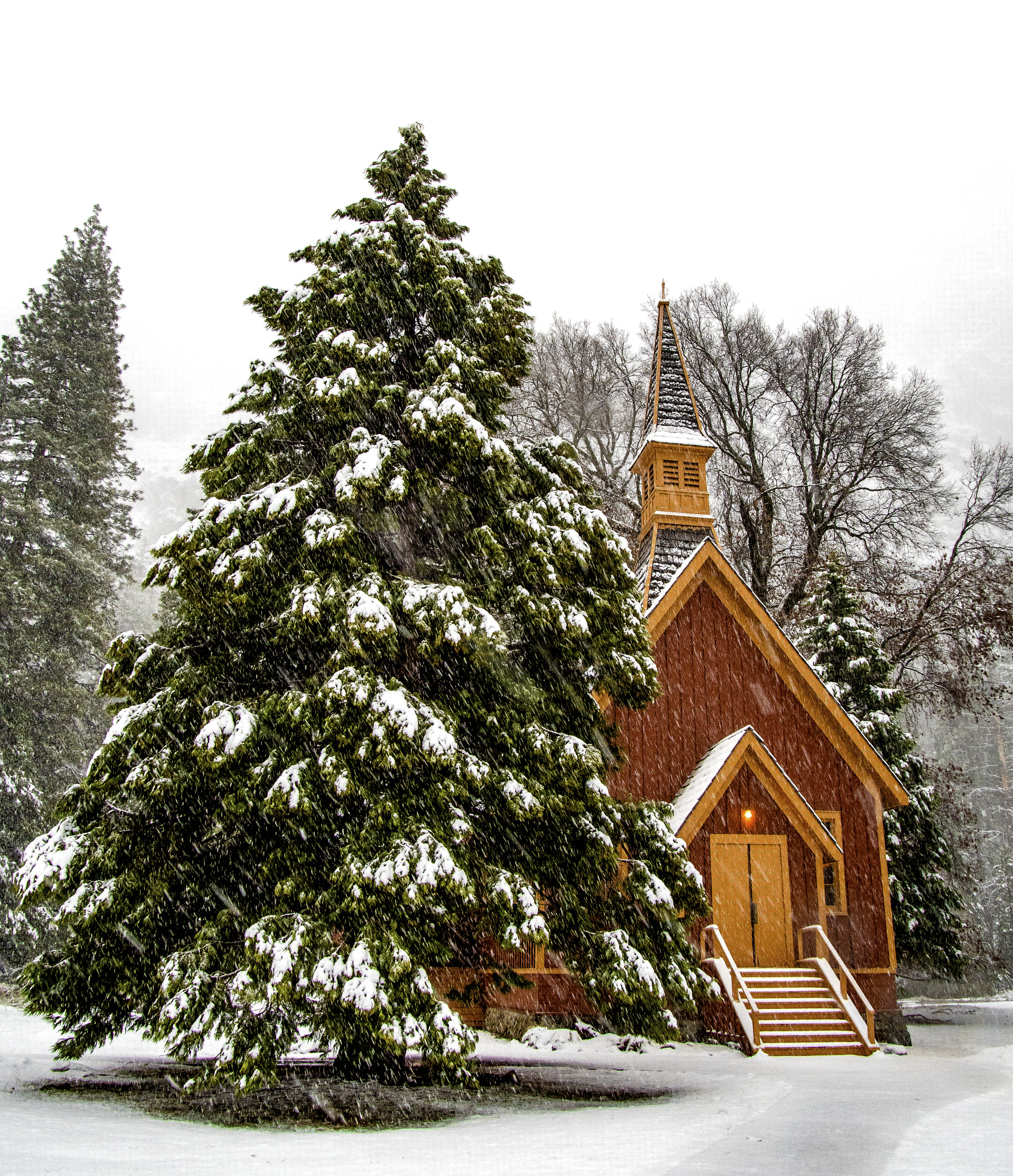 Nikon D500 sample photo. Tree and chapel photography
