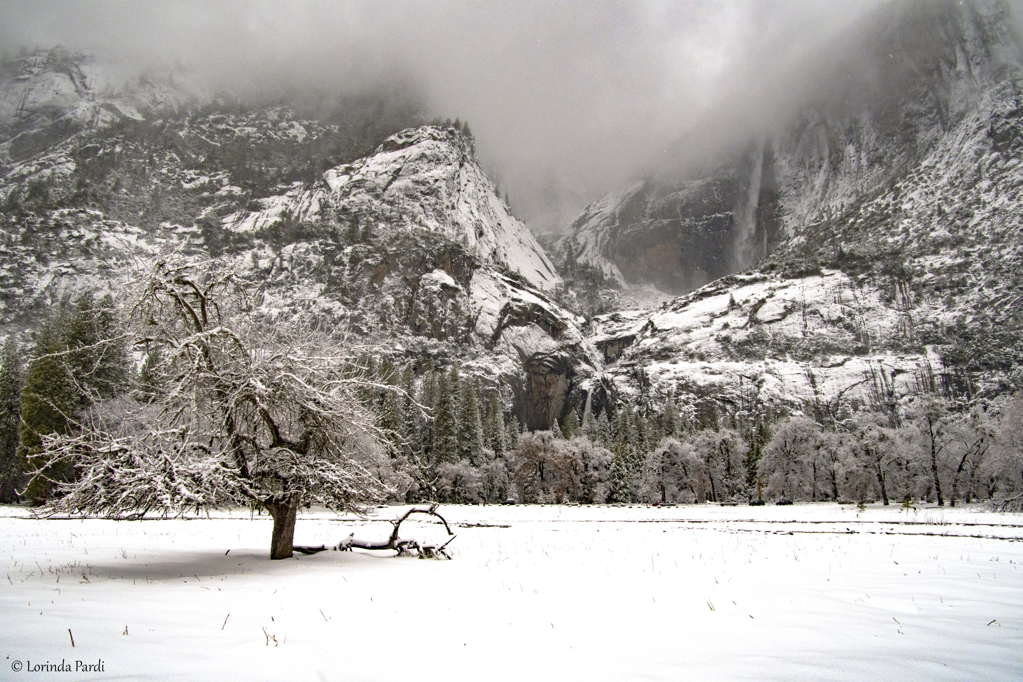 Nikon D500 + Tamron 16-300mm F3.5-6.3 Di II VC PZD Macro sample photo. Yosemite valley mist lp photography