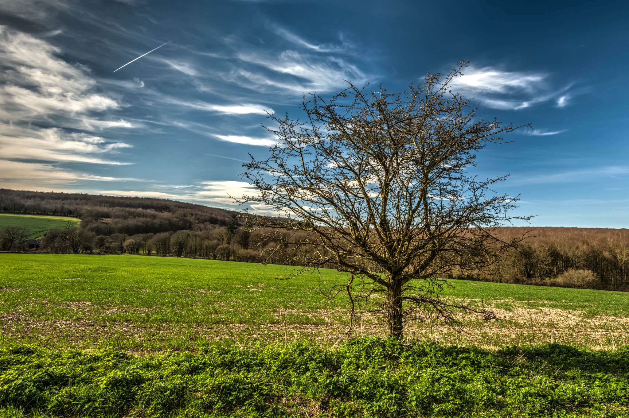 Nikon D810 sample photo. The south downs photography