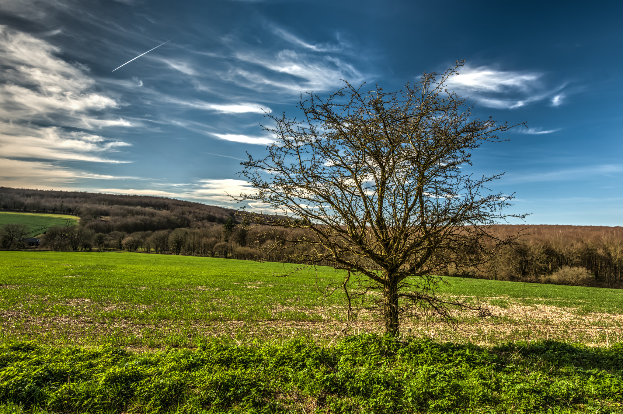 Tamron SP 15-30mm F2.8 Di VC USD sample photo. The south downs photography