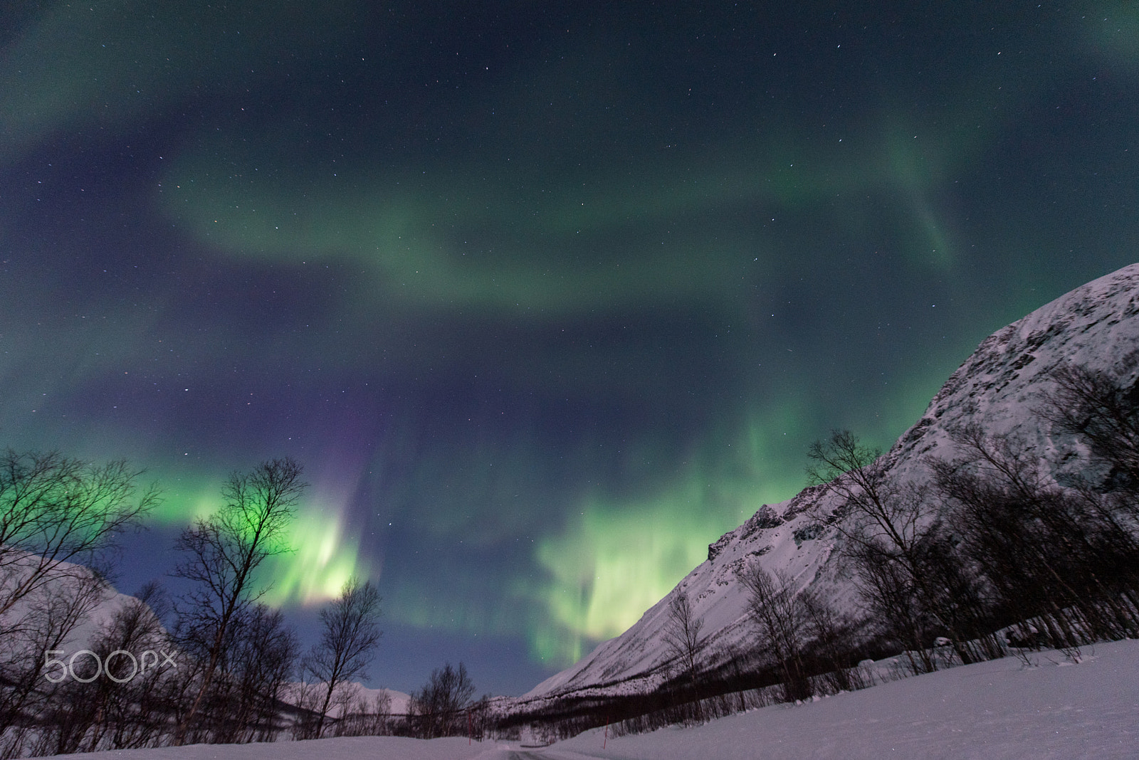 Nikon AF-S Nikkor 14-24mm F2.8G ED sample photo. Nothern lights photography