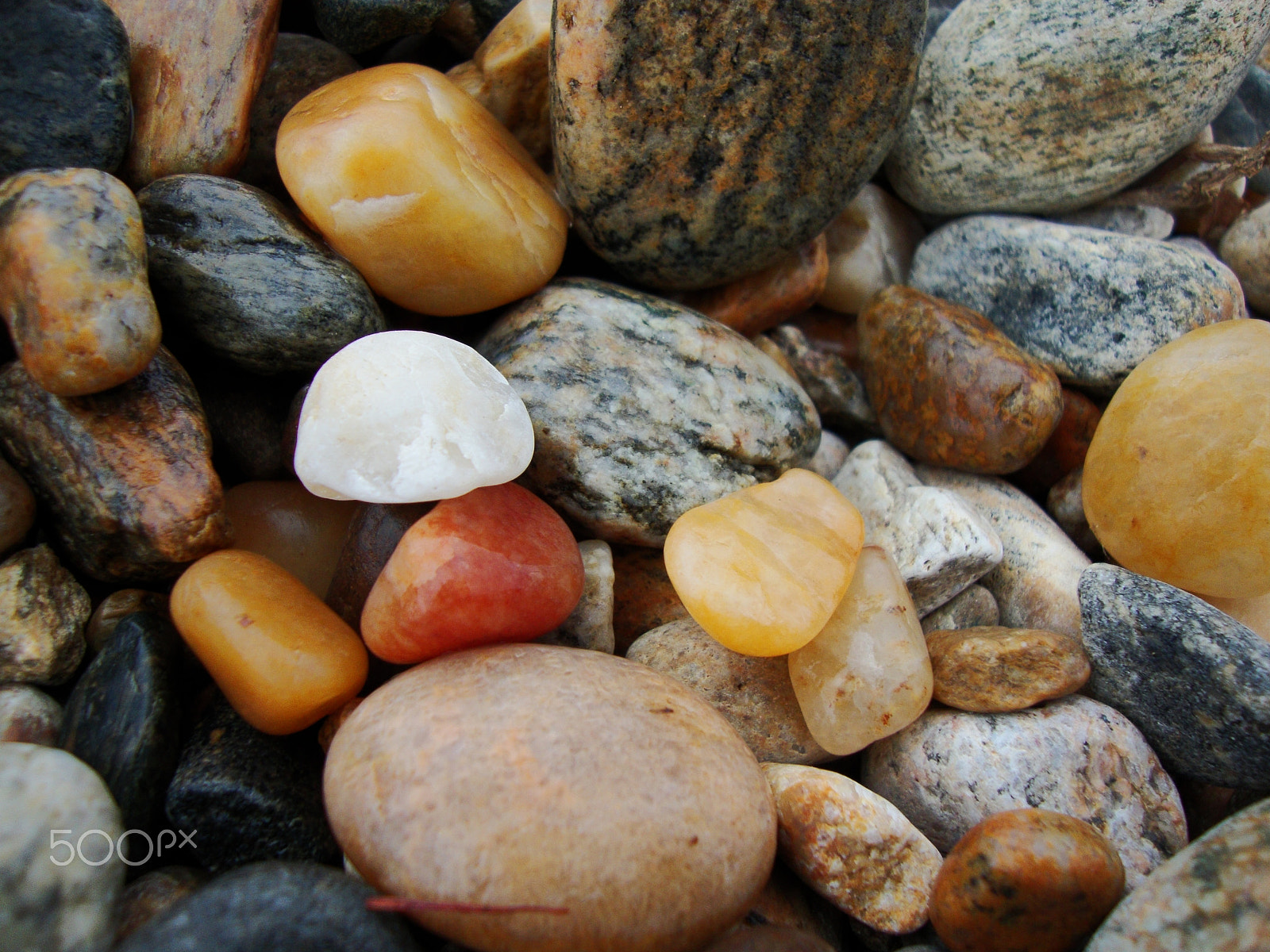 Sony Cyber-shot DSC-W230 sample photo. Pebble of baikal lake photography