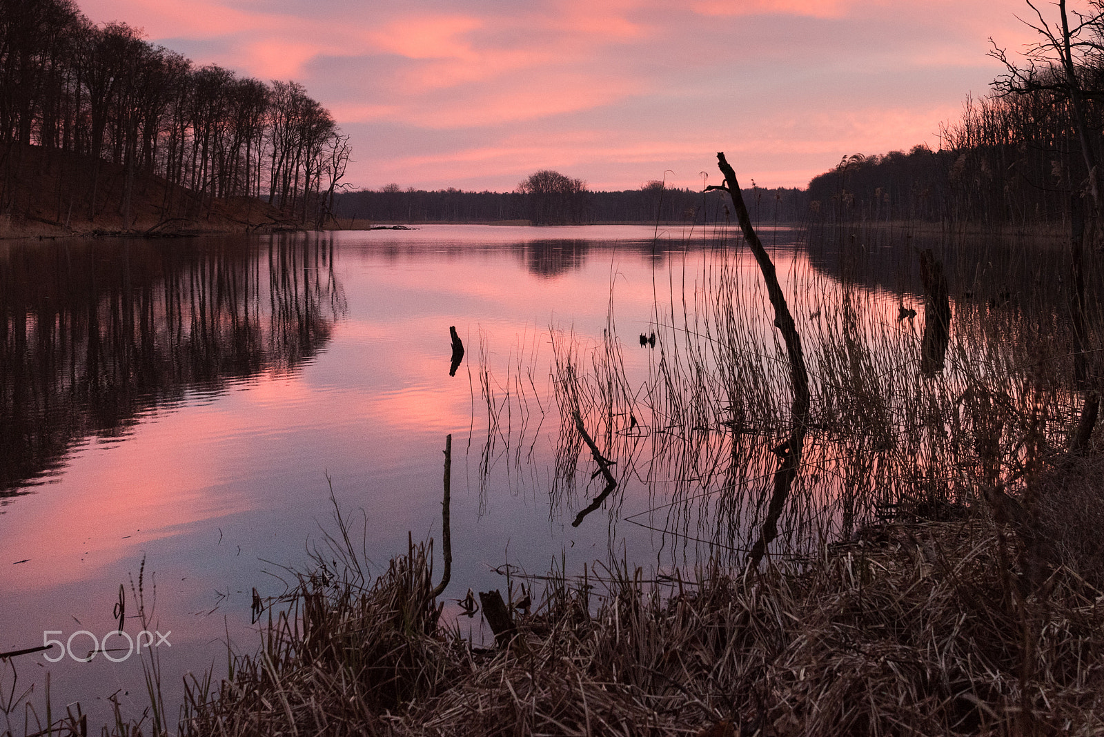Nikon AF-S Nikkor 24-70mm F2.8E ED VR sample photo. Sunset at müritz-np photography