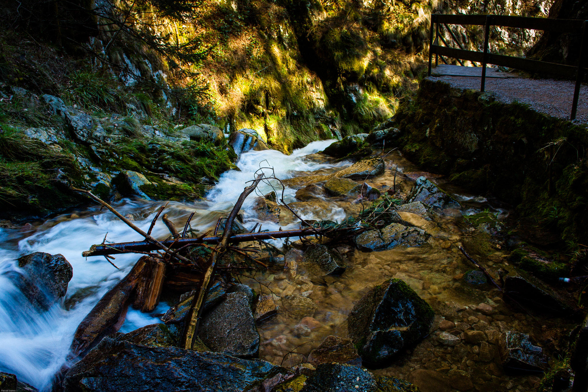 Canon EF-S 18-55mm F3.5-5.6 II sample photo. Wood in the mountain river photography