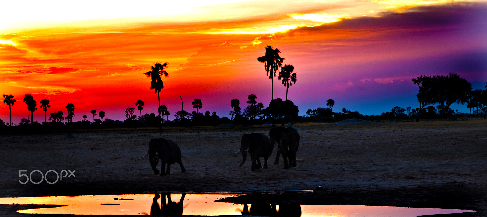 Canon EOS 5D + Canon EF 24-105mm F4L IS USM sample photo. Eles at suns et photography