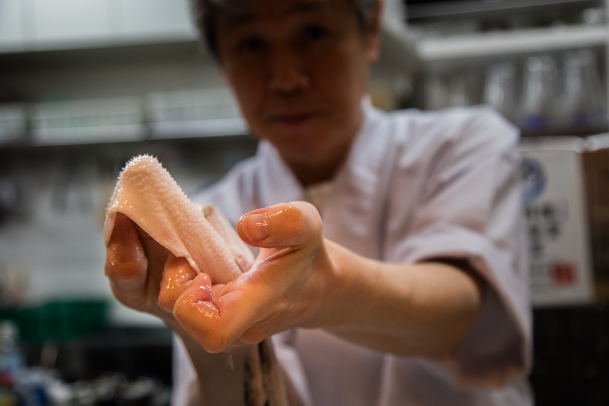 Canon EOS 5DS + Canon EF 24-105mm F4L IS USM sample photo. Fugu skin photography