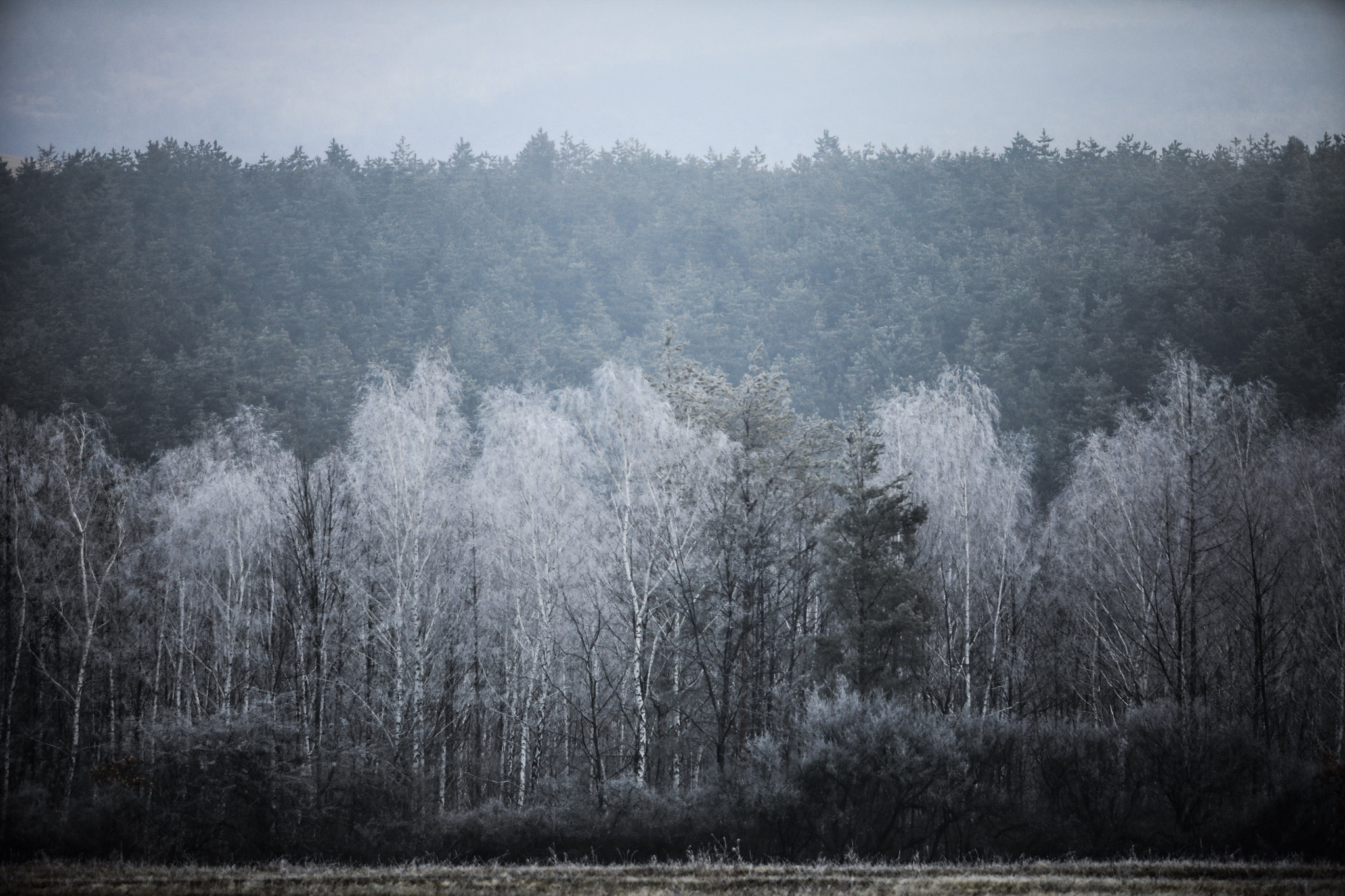 Canon EF 70-200mm F2.8L USM sample photo