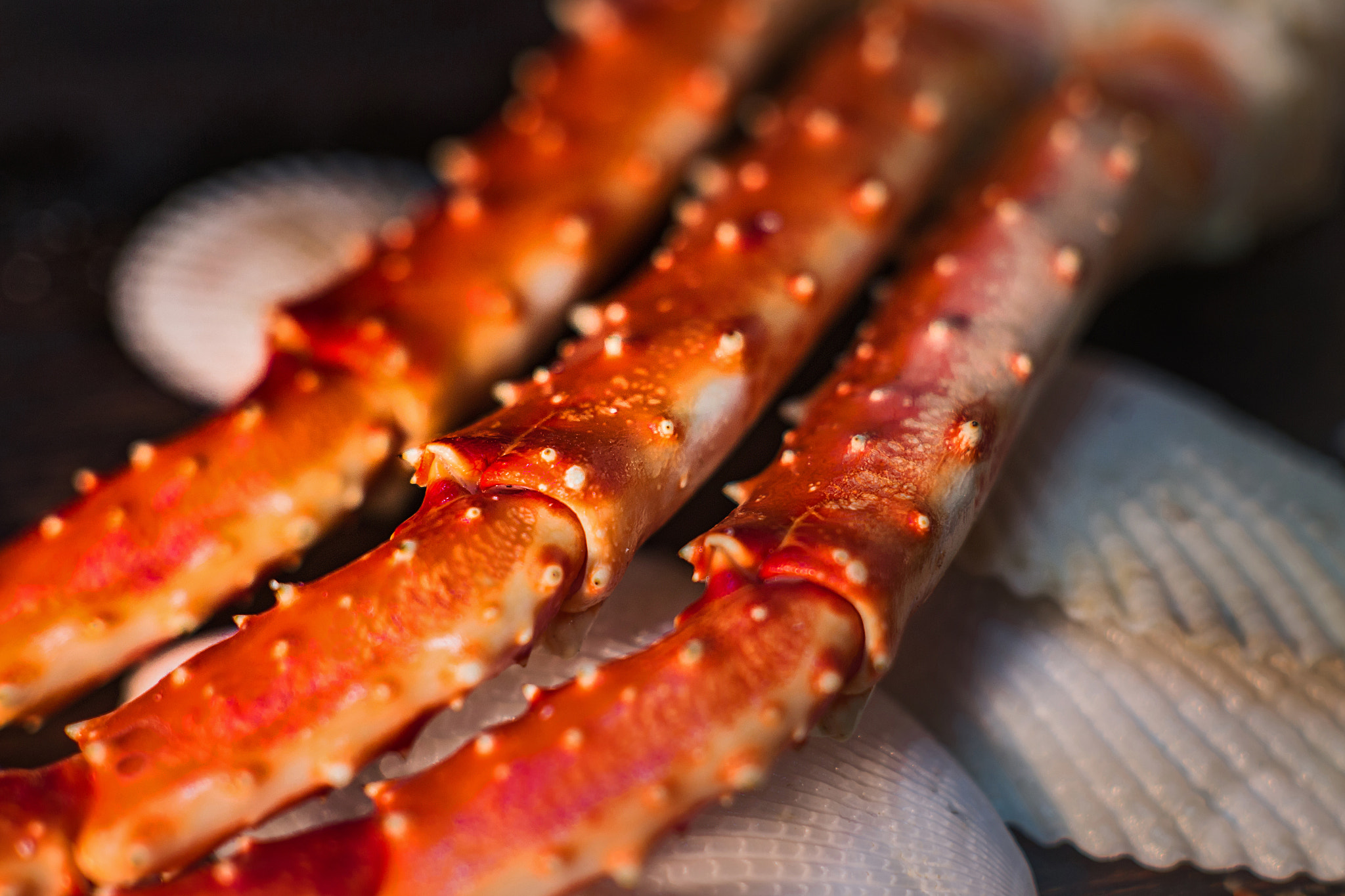 Canon EF 35-80mm f/4-5.6 sample photo. Crab photography