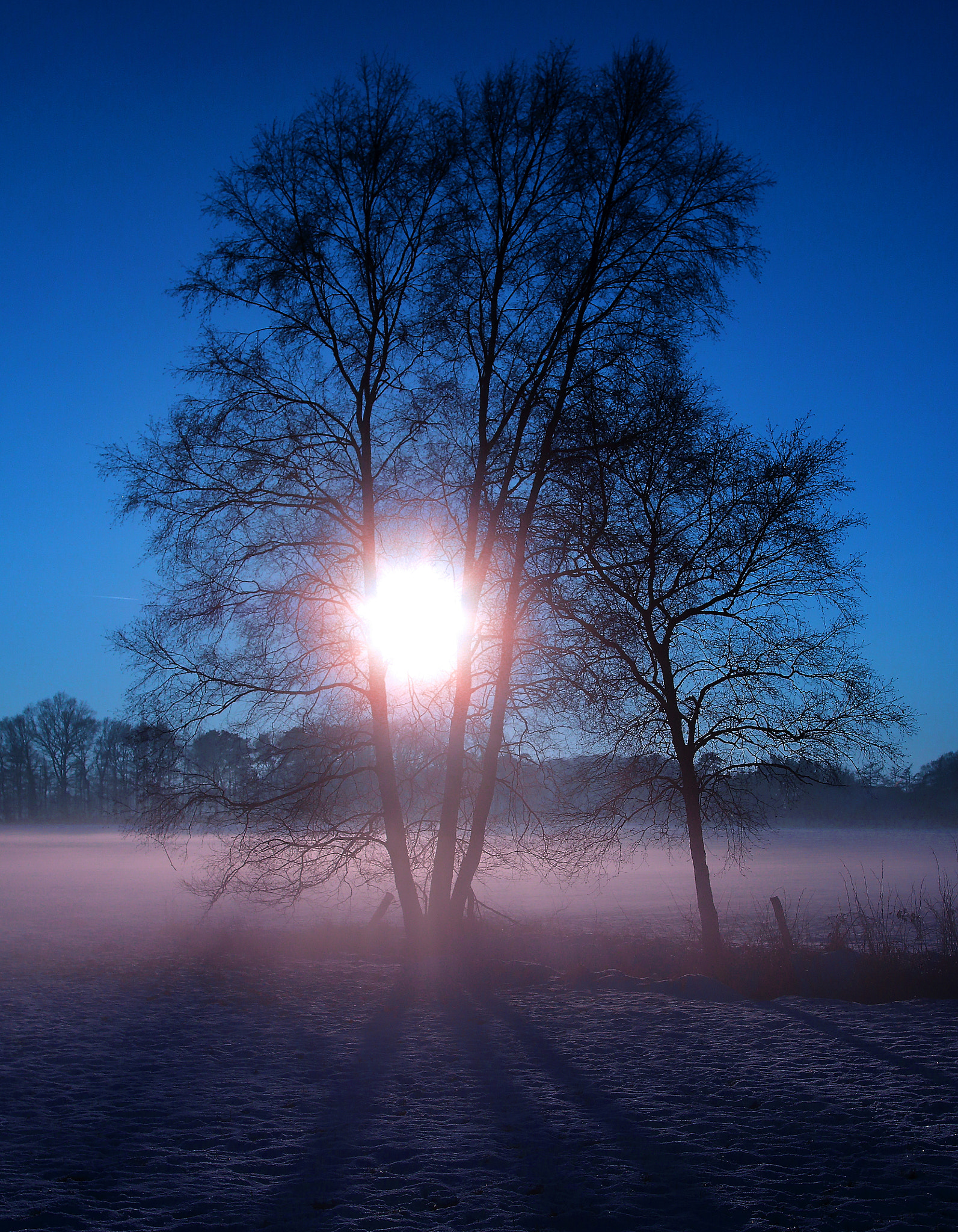 Canon EOS 70D + Canon EF 24mm F1.4L II USM sample photo. Cool photography