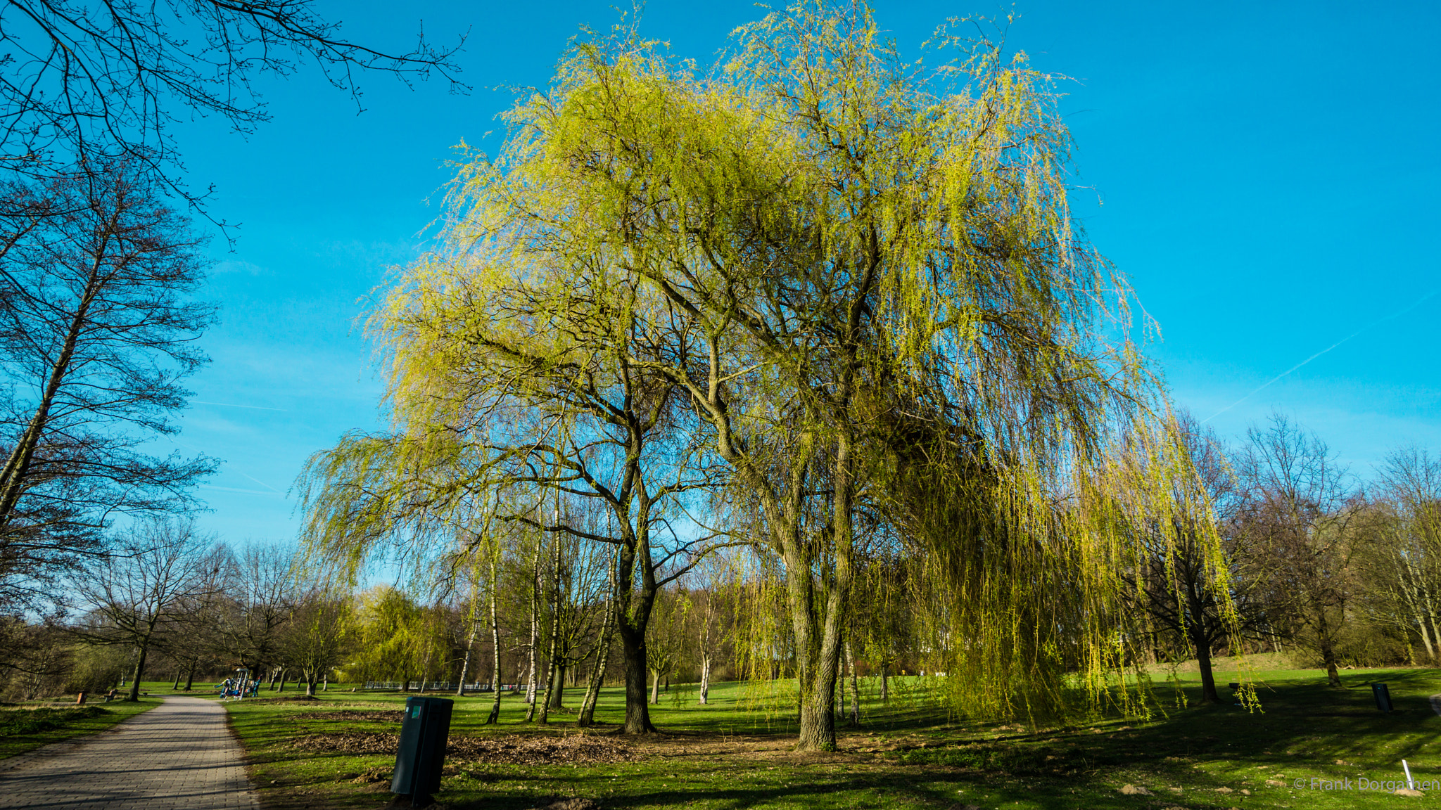 Sony a6000 + Sony E 10-18mm F4 OSS sample photo. Colors of spring  photography