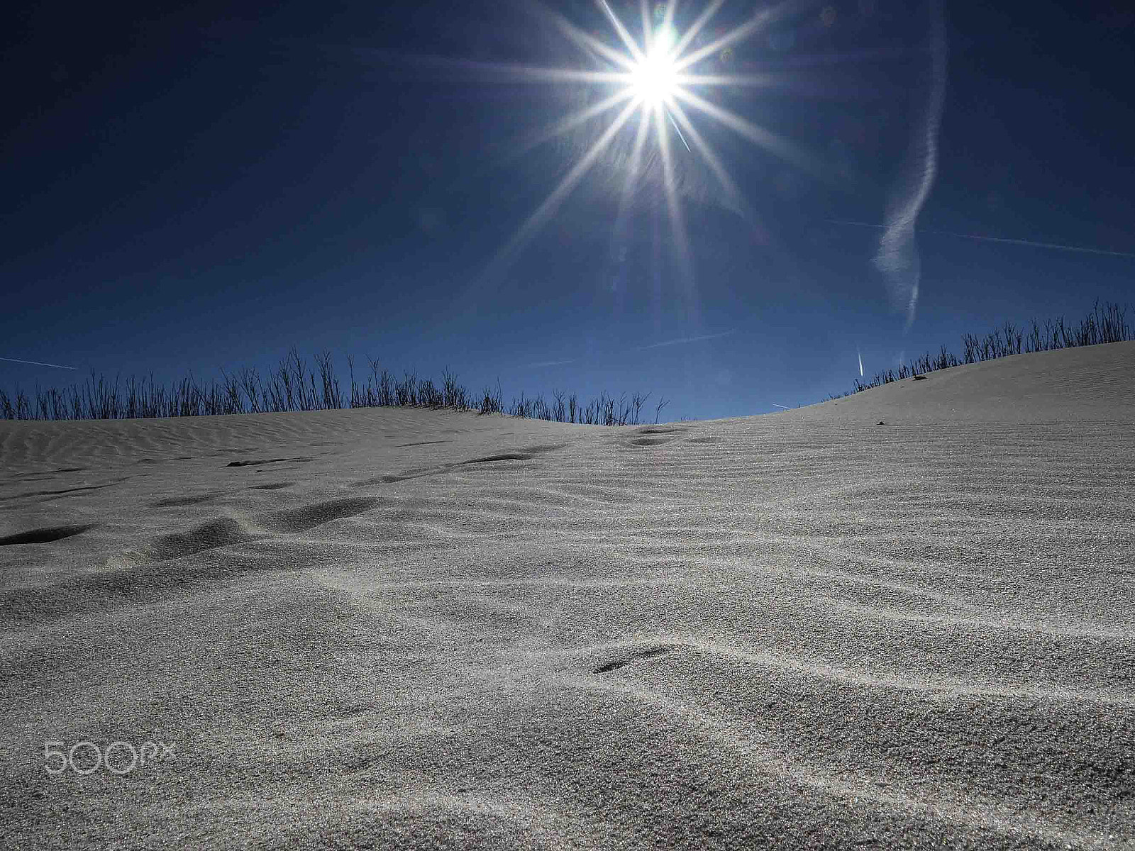 Olympus OM-D E-M5 II + Olympus M.Zuiko Digital ED 12-40mm F2.8 Pro sample photo. Here comes the sun photography