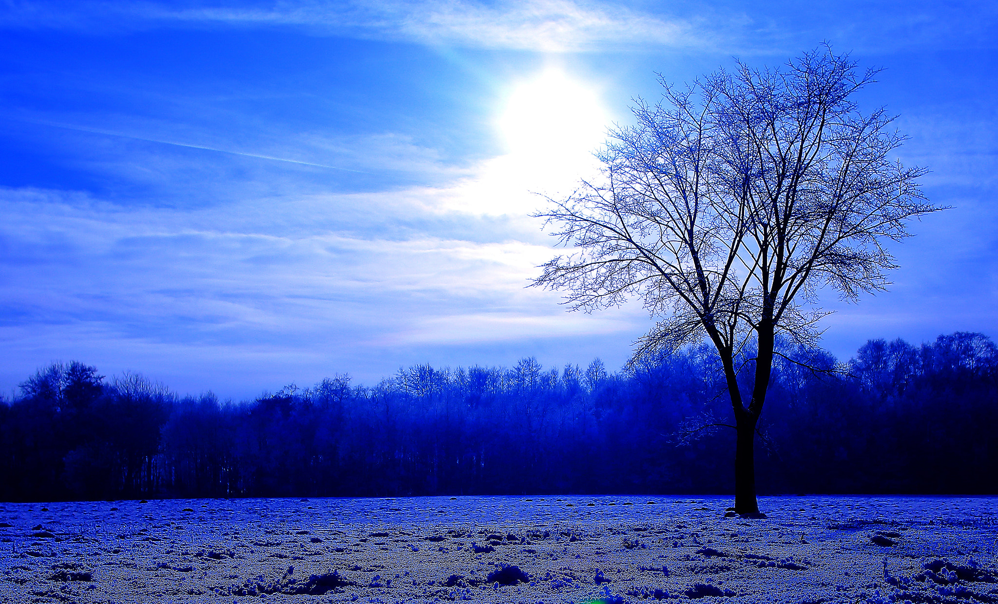 Canon EOS 70D sample photo. Freeze morning photography