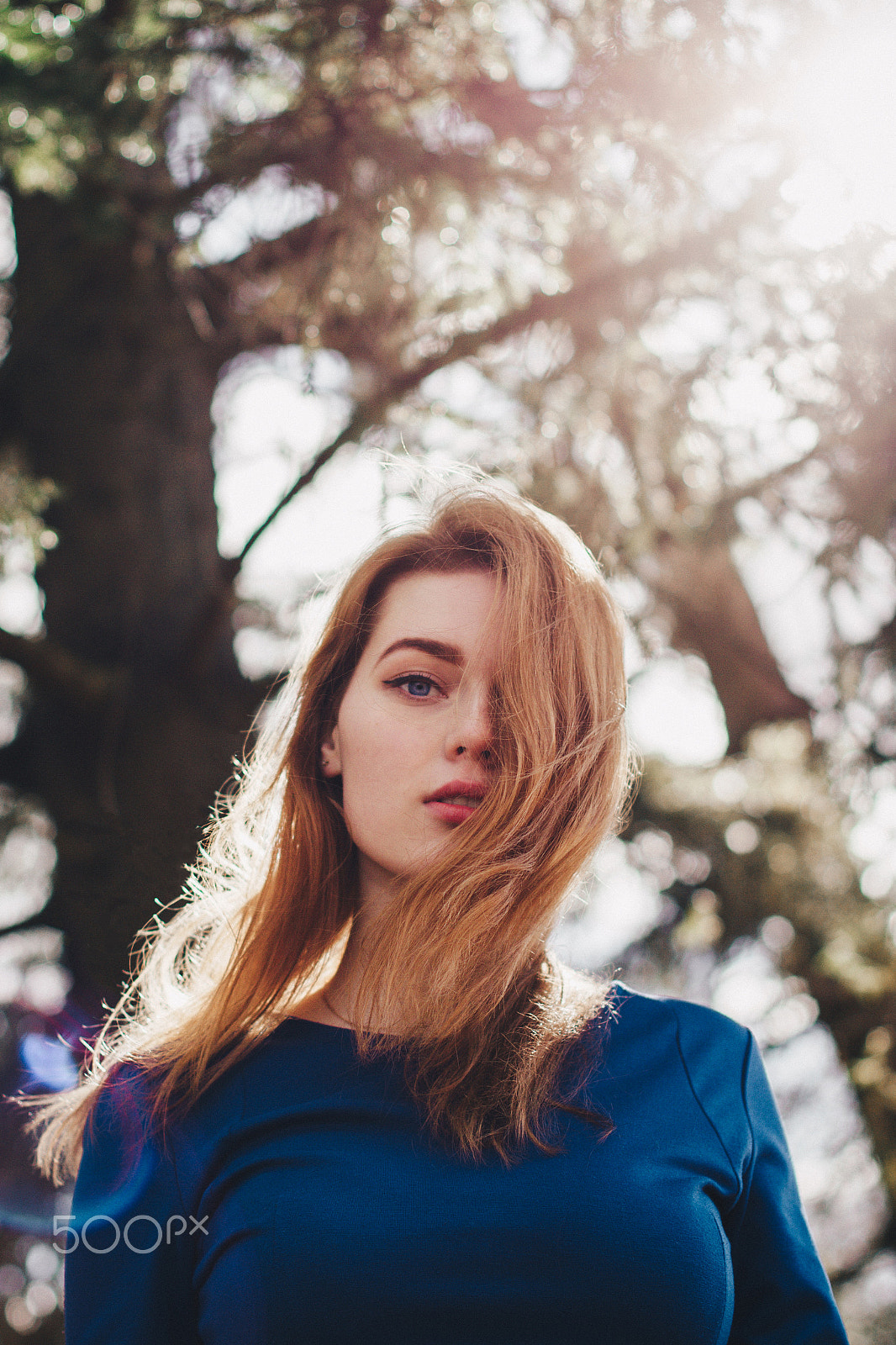 Canon EOS 7D + Canon EF 50mm F1.4 USM sample photo. Allegiance to the pain photography