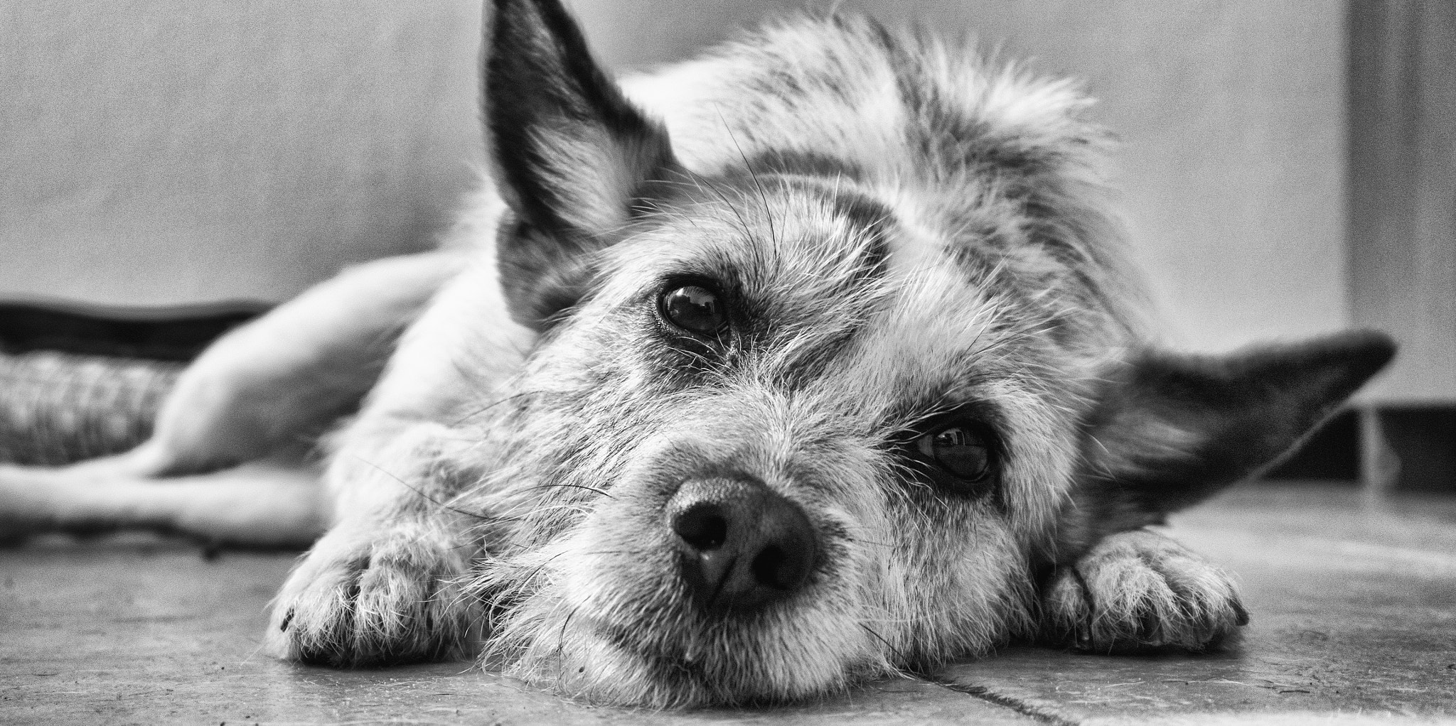 Panasonic Lumix DMC-G6 sample photo. Lazy day photography