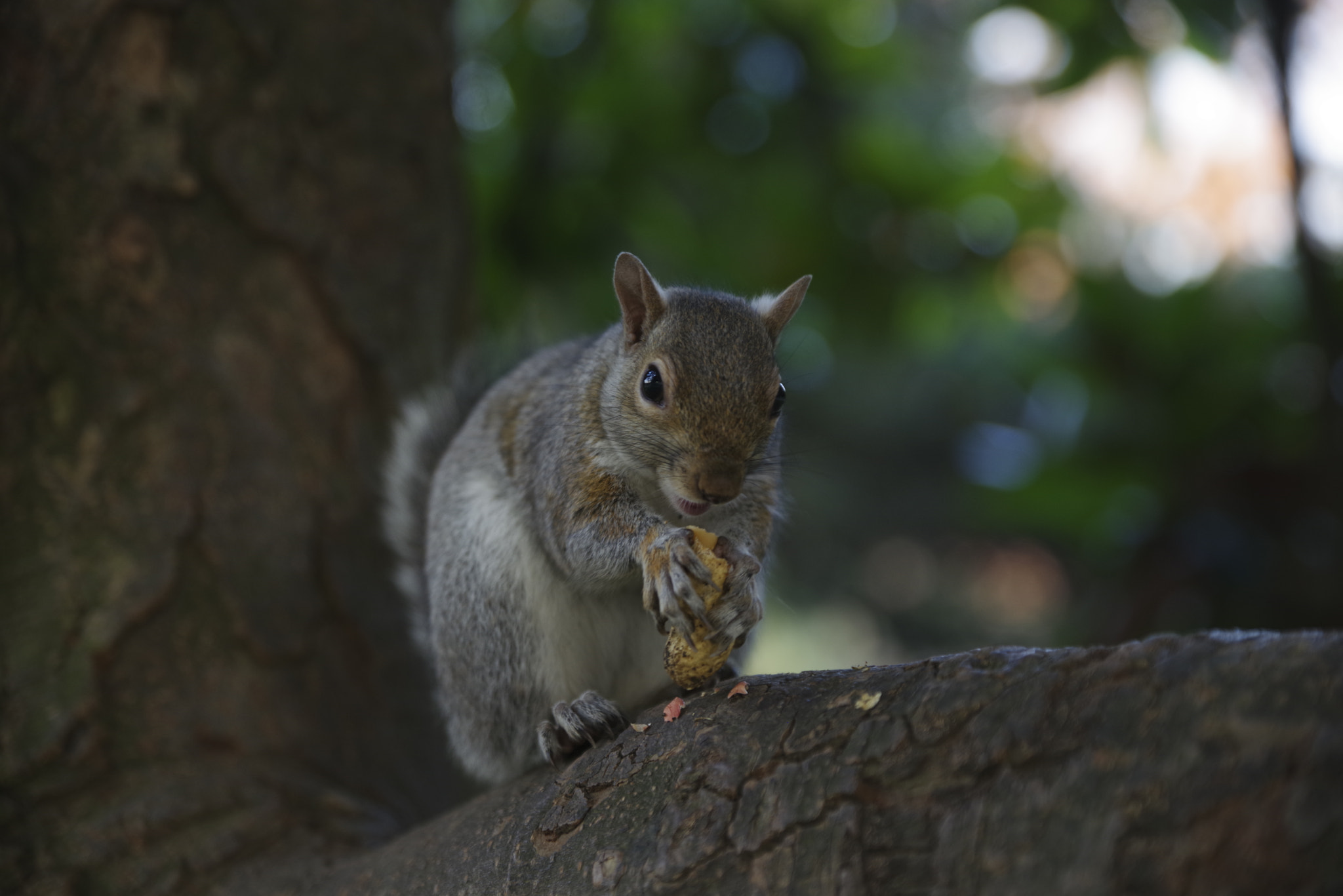 HD Pentax D FA 24-70mm F2.8 ED SDM WR sample photo. Cipeciop photography