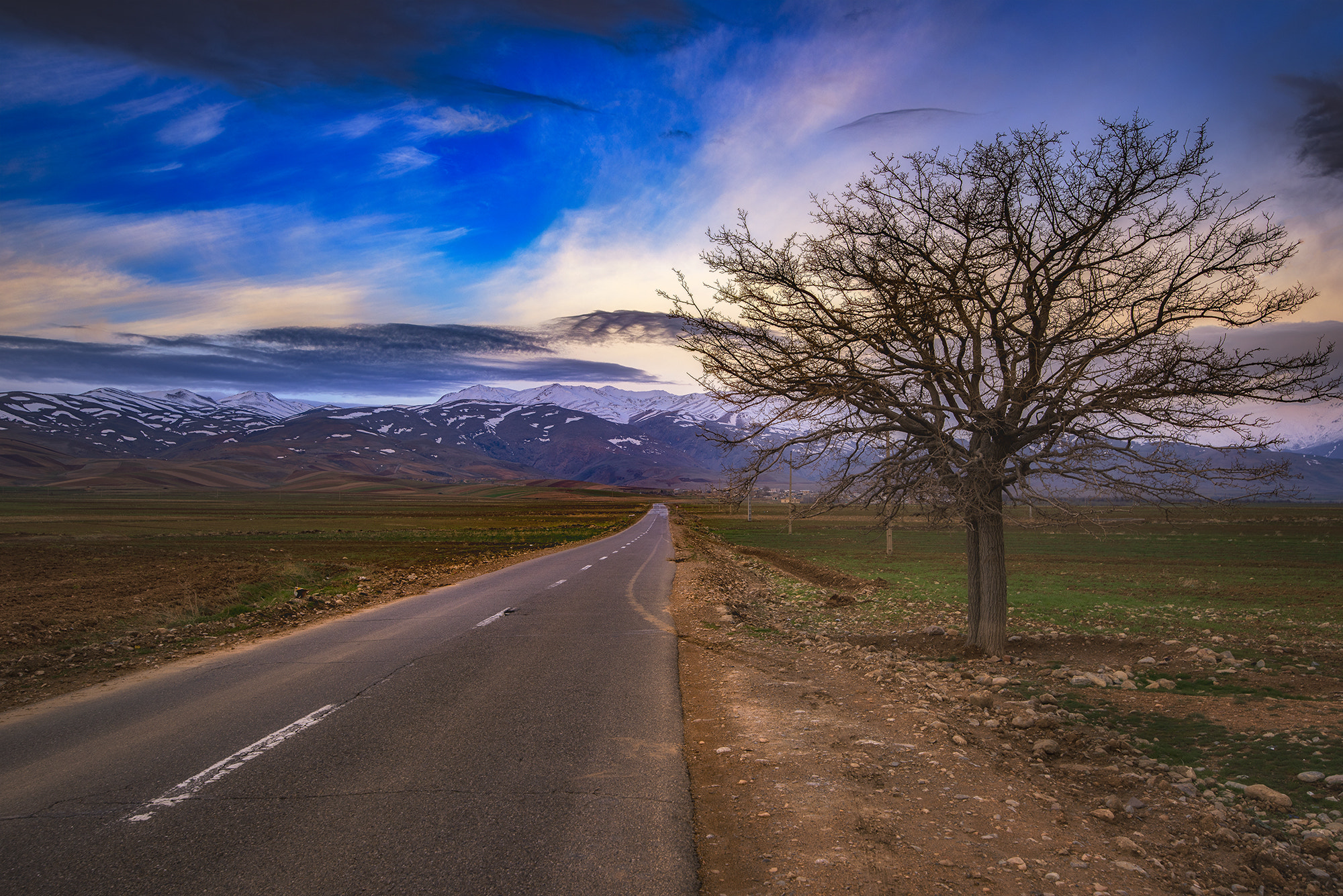 Nikon D810 + Tamron SP 15-30mm F2.8 Di VC USD sample photo. Tree and road photography