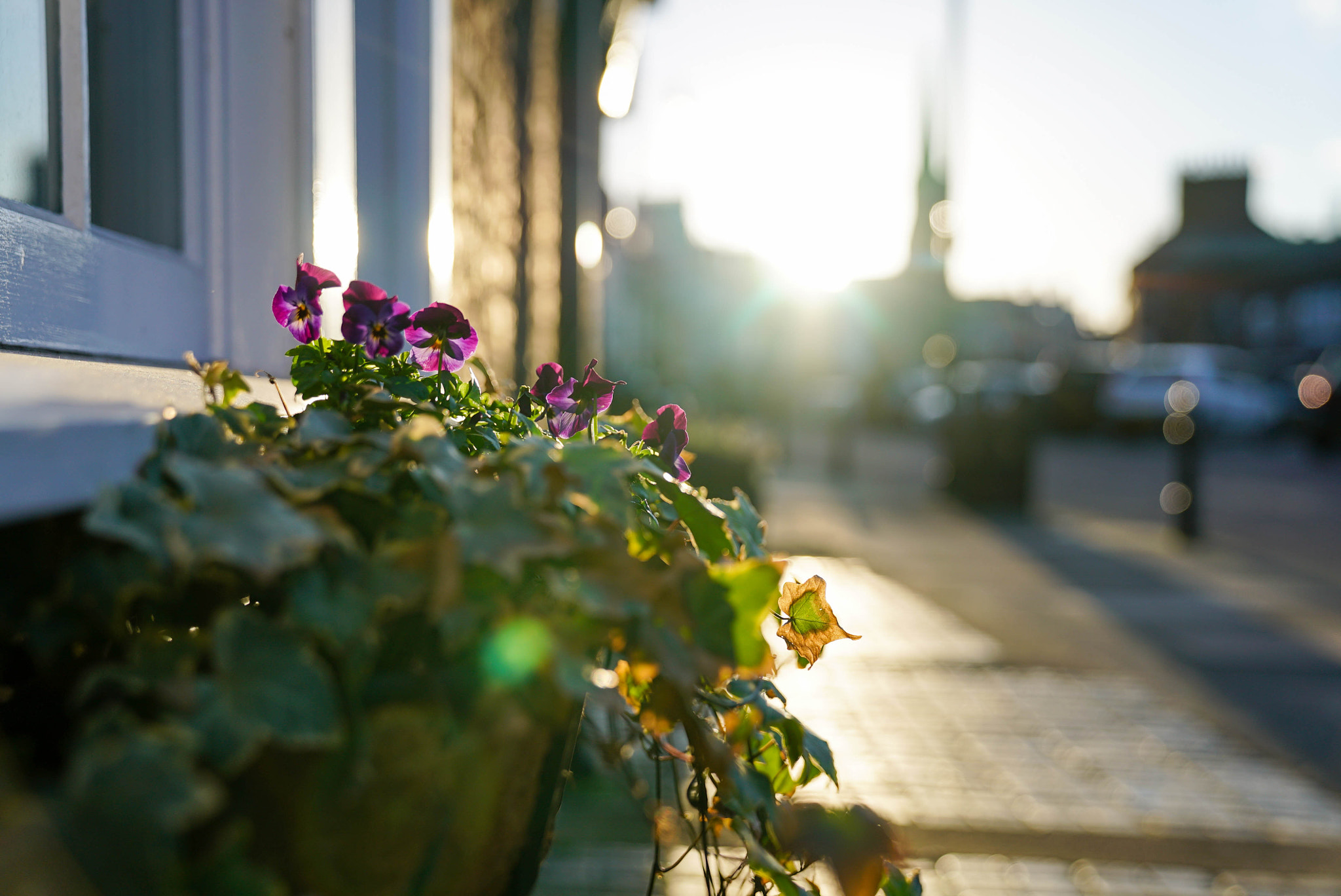 Sony a7S II sample photo. Tynemouth photography