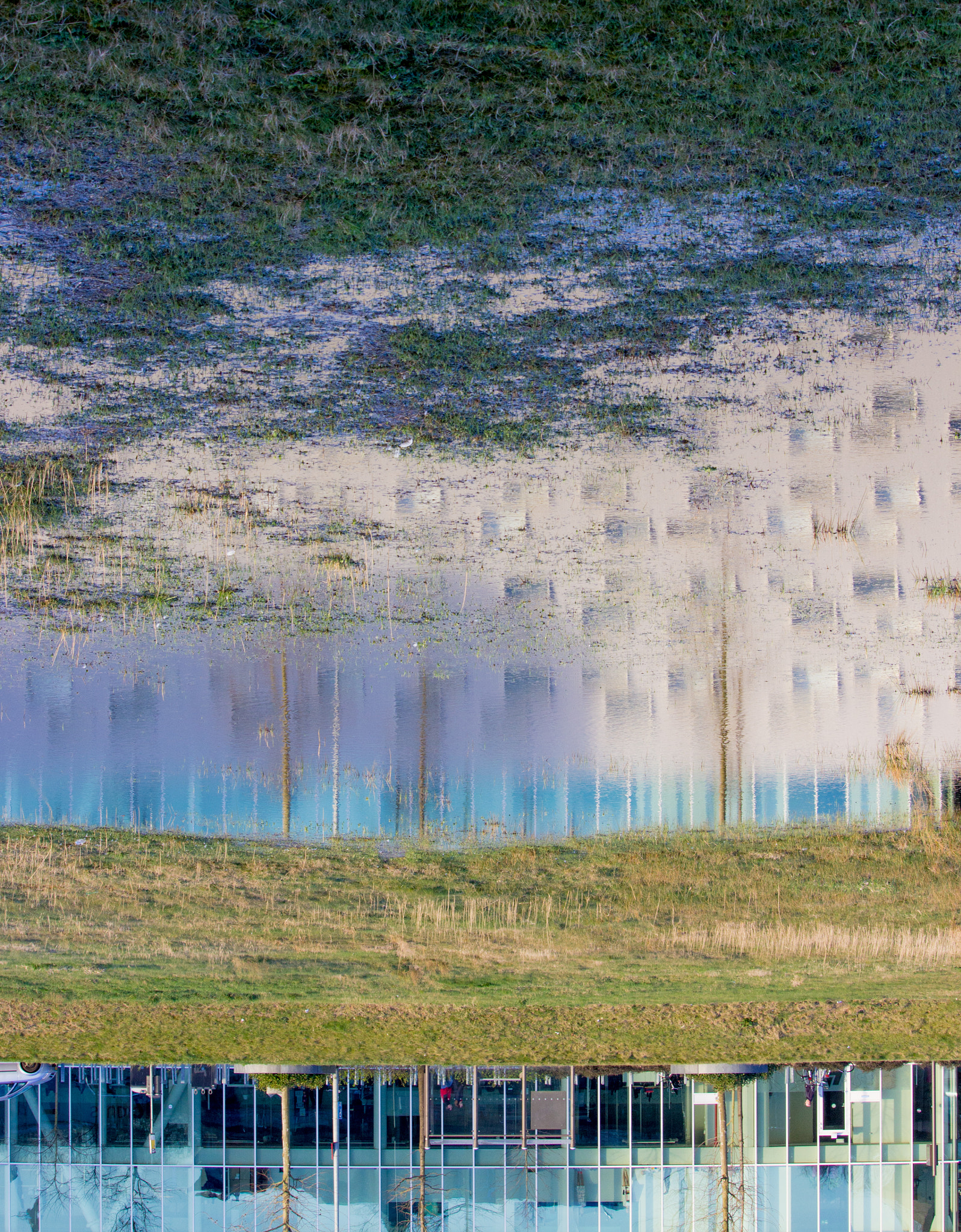 Canon EF-S 55-250mm F4-5.6 IS STM sample photo. Reflections photography